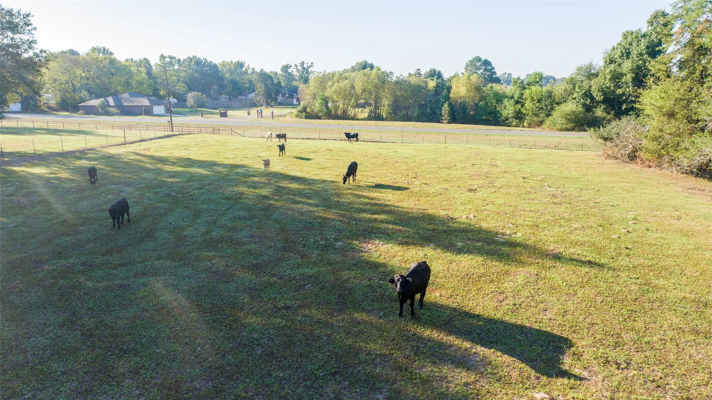 Farm For Sale in Camp County , 2529 W Highway 11, Pittsburg, Texas 75686, 3 Bedroom, 2 Bathroom, 3 Garage spaces, 1,753 Sqft, built in 0, mls#21409894, Real Estate Agent in Pittsburg, Homes For Sale in Camp county, Homes For Sale in Pittsburg, Realtor in Pittsburg Texas, Real Estate Brokerage Independent Realty Texas, Luminita Cordes Realtor