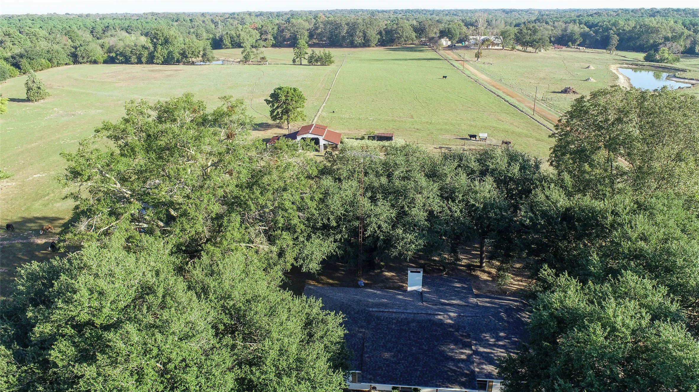 Farm For Sale in Camp County , 2529 W Highway 11, Pittsburg, Texas 75686, 3 Bedroom, 2 Bathroom, 3 Garage spaces, 1,753 Sqft, built in 0, mls#21409894, Real Estate Agent in Pittsburg, Homes For Sale in Camp county, Homes For Sale in Pittsburg, Realtor in Pittsburg Texas, Real Estate Brokerage Independent Realty Texas, Luminita Cordes Realtor