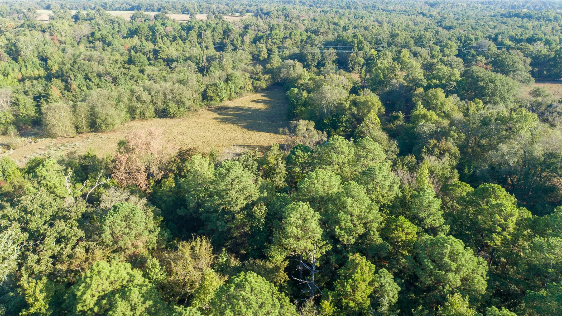 Farm For Sale in Camp County , 2529 W Highway 11, Pittsburg, Texas 75686, 3 Bedroom, 2 Bathroom, 3 Garage spaces, 1,753 Sqft, built in 0, mls#21409894, Real Estate Agent in Pittsburg, Homes For Sale in Camp county, Homes For Sale in Pittsburg, Realtor in Pittsburg Texas, Real Estate Brokerage Independent Realty Texas, Luminita Cordes Realtor