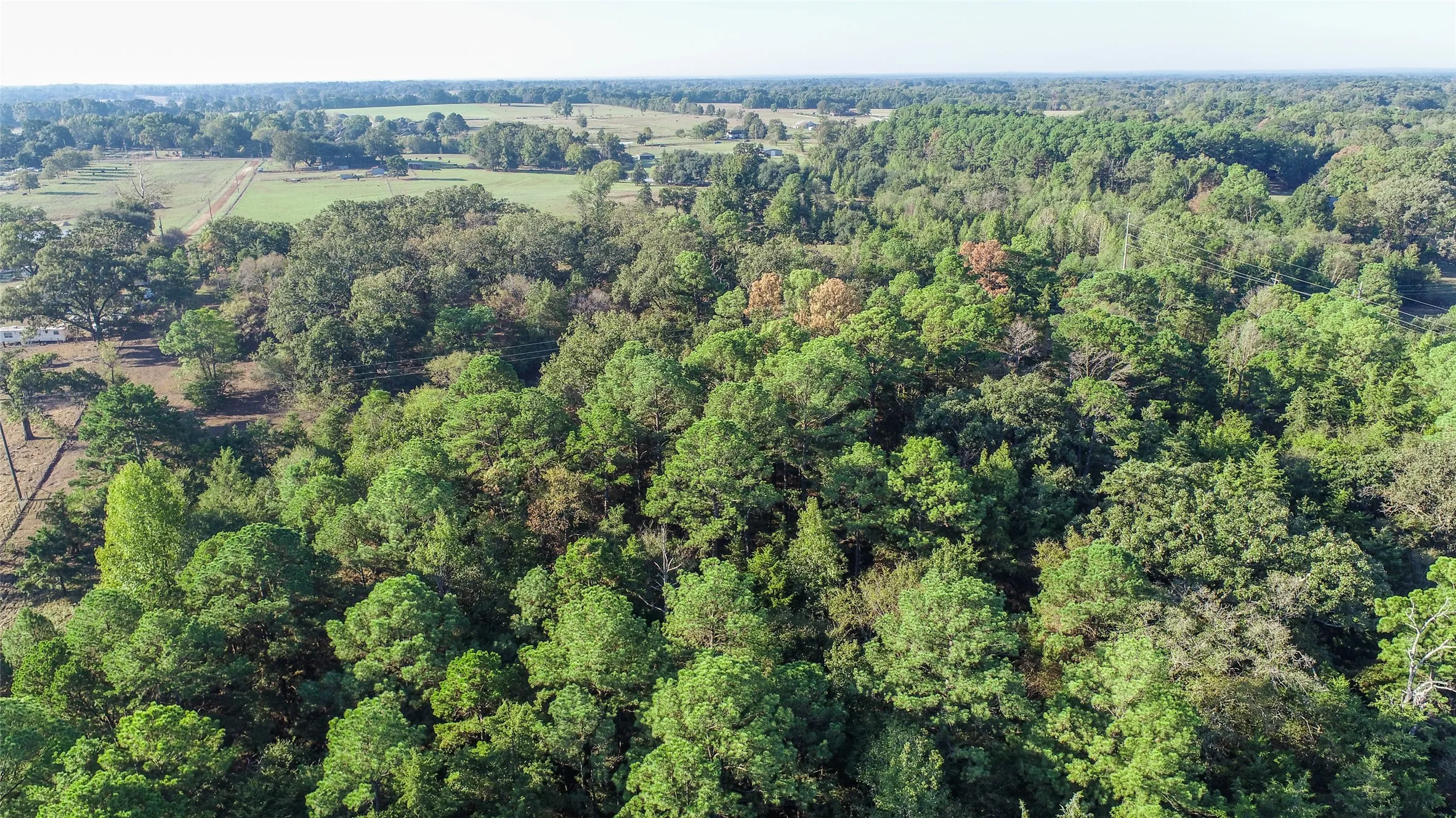 Farm For Sale in Camp County , 2529 W Highway 11, Pittsburg, Texas 75686, 3 Bedroom, 2 Bathroom, 3 Garage spaces, 1,753 Sqft, built in 0, mls#21409894, Real Estate Agent in Pittsburg, Homes For Sale in Camp county, Homes For Sale in Pittsburg, Realtor in Pittsburg Texas, Real Estate Brokerage Independent Realty Texas, Luminita Cordes Realtor