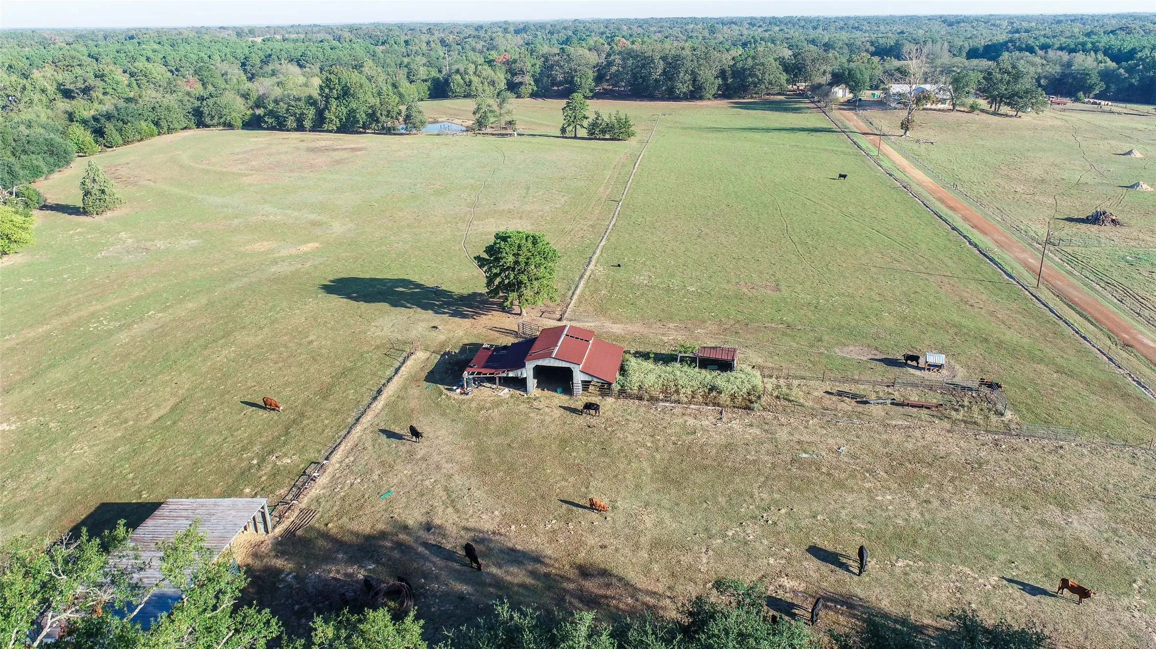 Farm For Sale in Camp County , 2529 W Highway 11, Pittsburg, Texas 75686, 3 Bedroom, 2 Bathroom, 3 Garage spaces, 1,753 Sqft, built in 0, mls#21409894, Real Estate Agent in Pittsburg, Homes For Sale in Camp county, Homes For Sale in Pittsburg, Realtor in Pittsburg Texas, Real Estate Brokerage Independent Realty Texas, Luminita Cordes Realtor