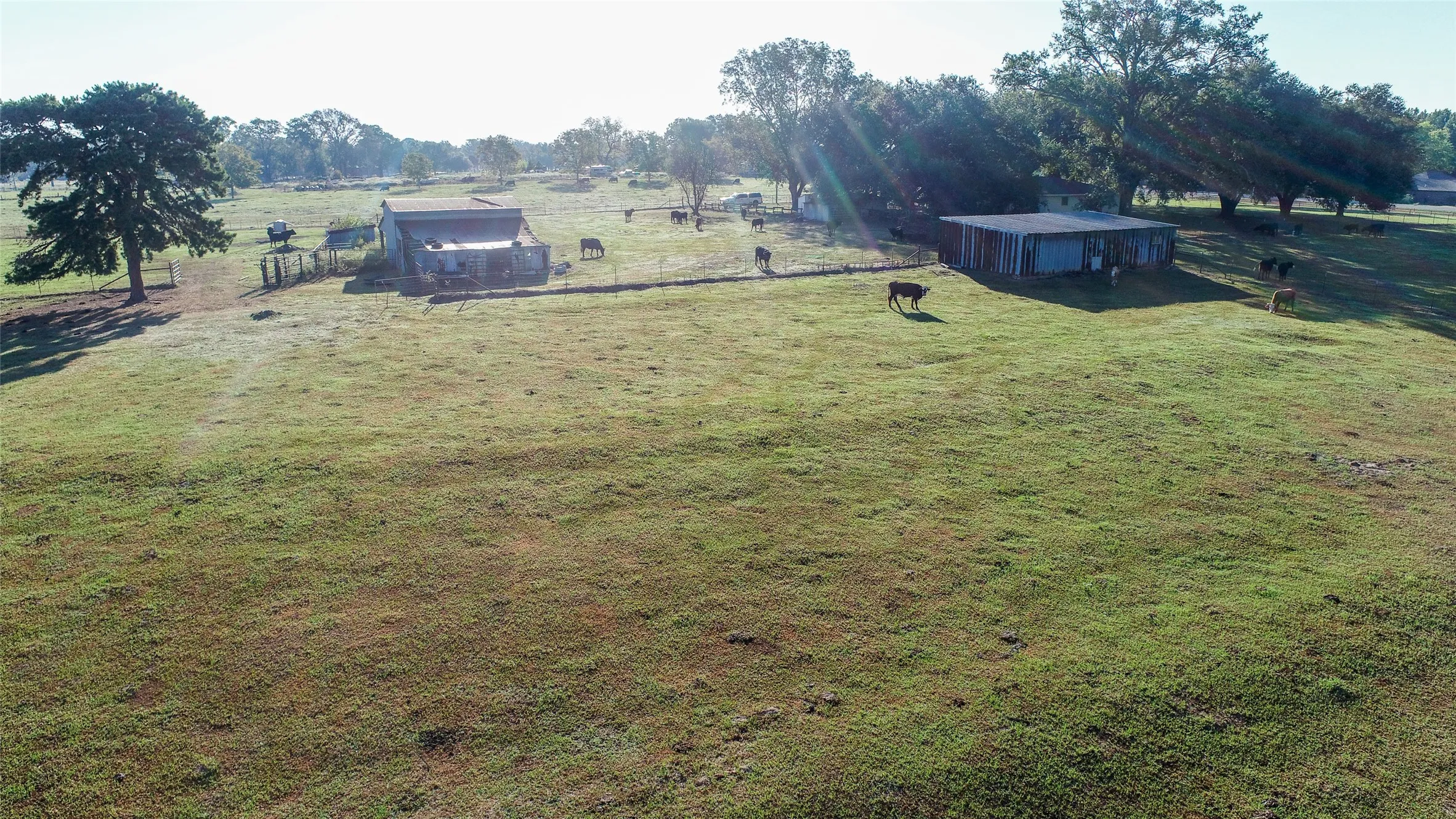Farm For Sale in Camp County , 2529 W Highway 11, Pittsburg, Texas 75686, 3 Bedroom, 2 Bathroom, 3 Garage spaces, 1,753 Sqft, built in 0, mls#21409894, Real Estate Agent in Pittsburg, Homes For Sale in Camp county, Homes For Sale in Pittsburg, Realtor in Pittsburg Texas, Real Estate Brokerage Independent Realty Texas, Luminita Cordes Realtor