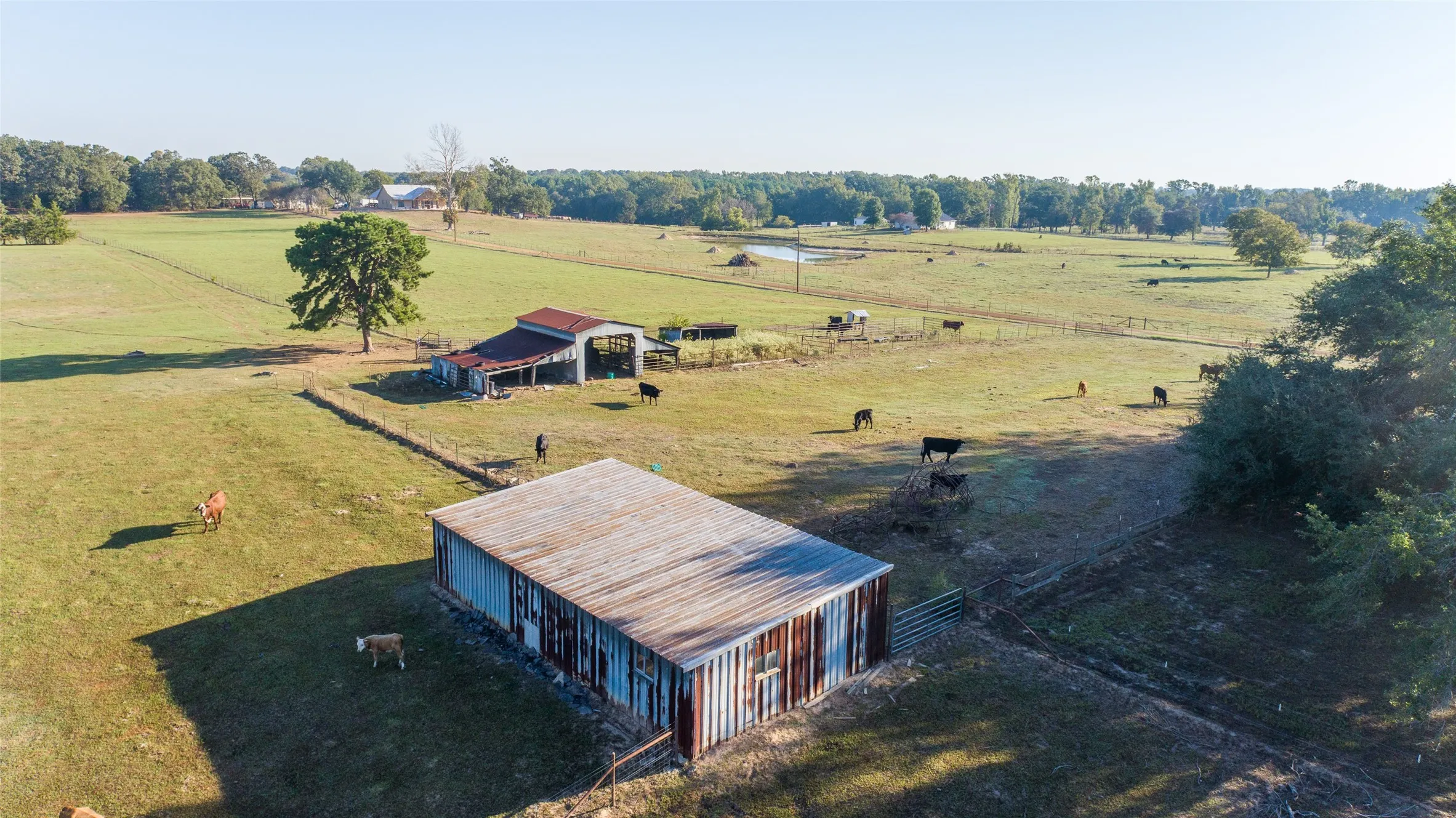 Farm For Sale in Camp County , 2529 W Highway 11, Pittsburg, Texas 75686, 3 Bedroom, 2 Bathroom, 3 Garage spaces, 1,753 Sqft, built in 0, mls#21409894, Real Estate Agent in Pittsburg, Homes For Sale in Camp county, Homes For Sale in Pittsburg, Realtor in Pittsburg Texas, Real Estate Brokerage Independent Realty Texas, Luminita Cordes Realtor