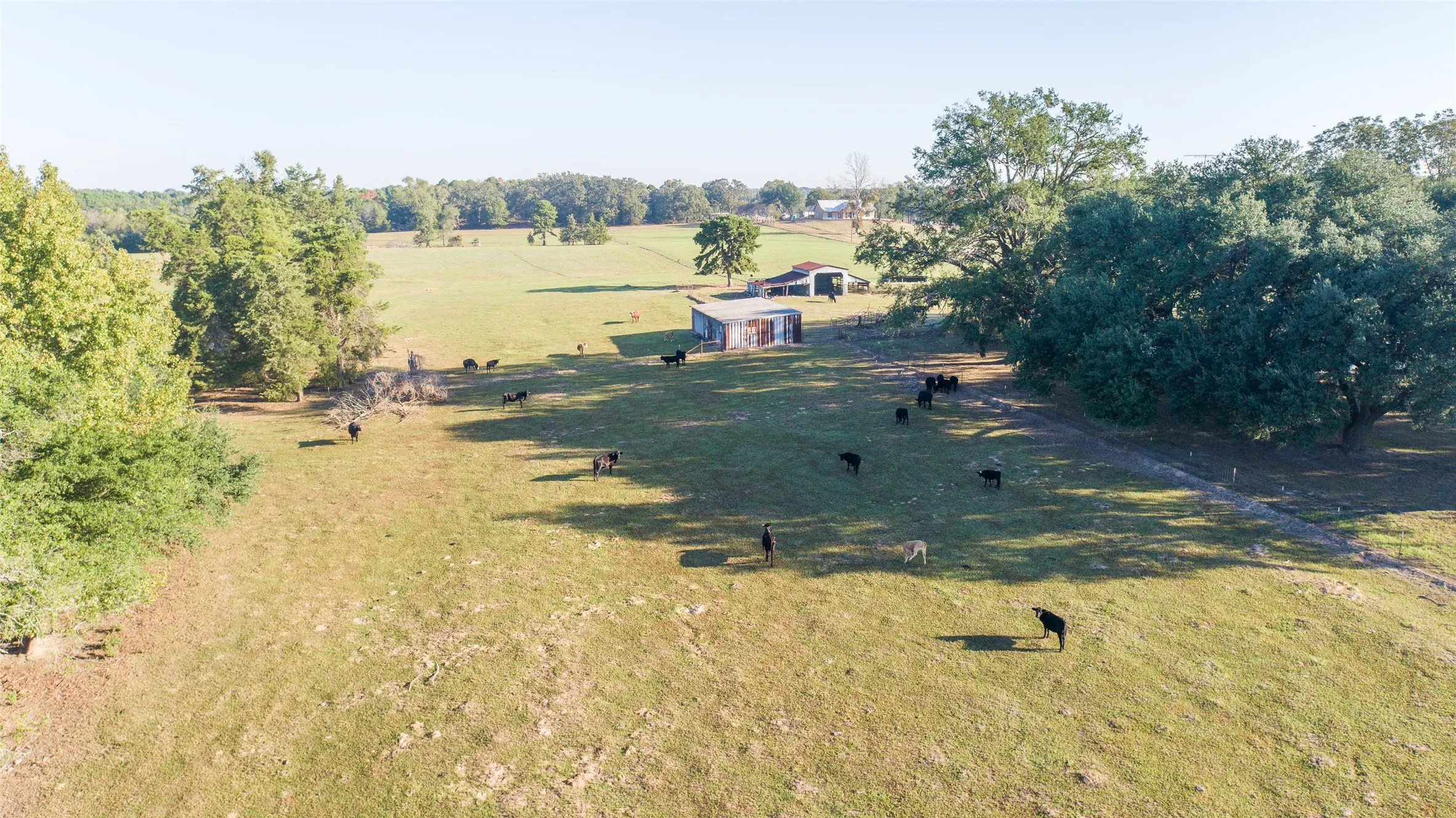 Farm For Sale in Camp County , 2529 W Highway 11, Pittsburg, Texas 75686, 3 Bedroom, 2 Bathroom, 3 Garage spaces, 1,753 Sqft, built in 0, mls#21409894, Real Estate Agent in Pittsburg, Homes For Sale in Camp county, Homes For Sale in Pittsburg, Realtor in Pittsburg Texas, Real Estate Brokerage Independent Realty Texas, Luminita Cordes Realtor