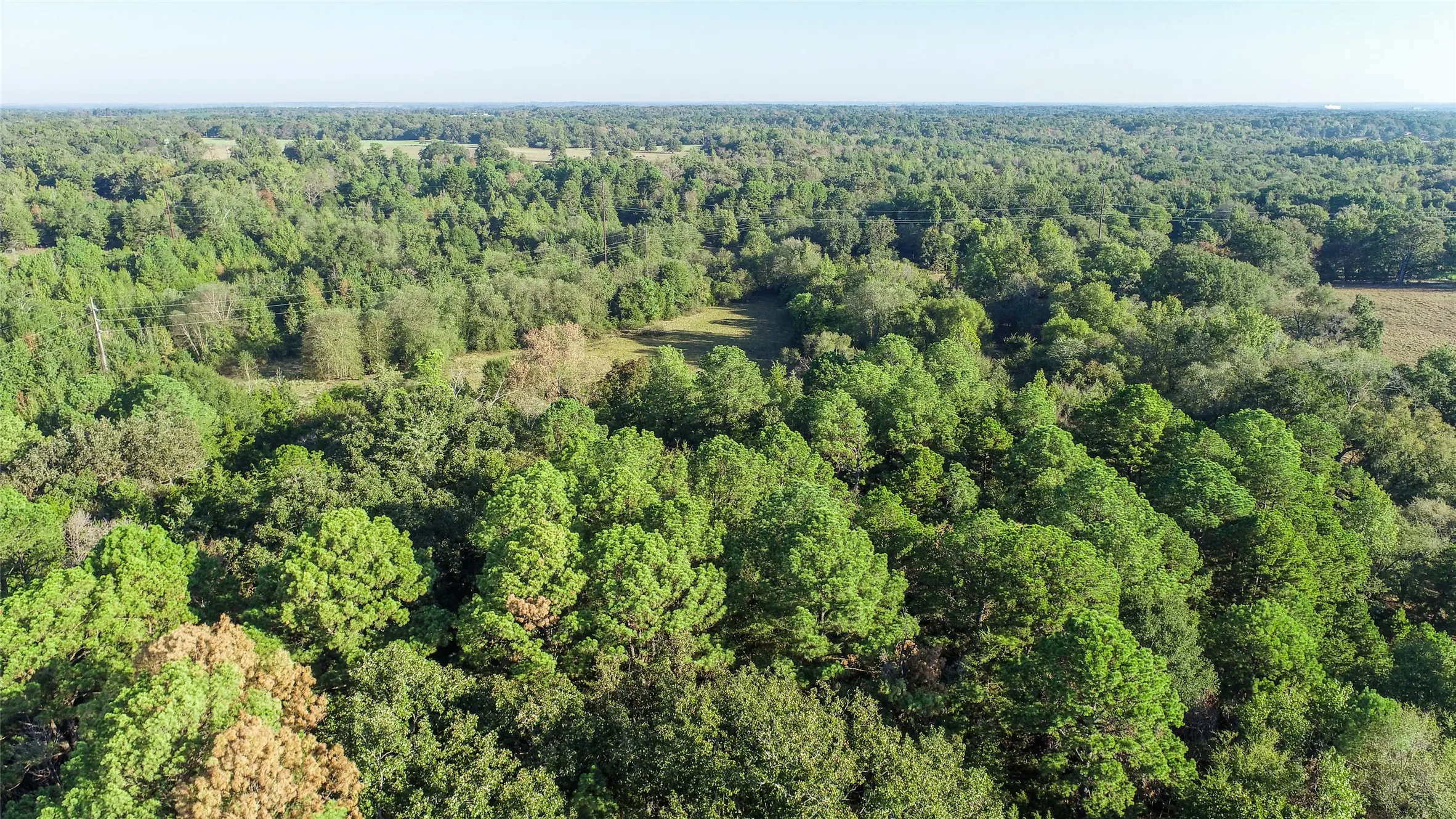 Farm For Sale in Camp County , 2529 W Highway 11, Pittsburg, Texas 75686, 3 Bedroom, 2 Bathroom, 3 Garage spaces, 1,753 Sqft, built in 0, mls#21409894, Real Estate Agent in Pittsburg, Homes For Sale in Camp county, Homes For Sale in Pittsburg, Realtor in Pittsburg Texas, Real Estate Brokerage Independent Realty Texas, Luminita Cordes Realtor