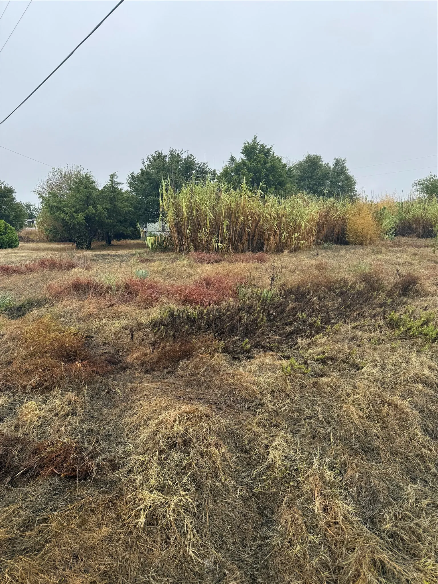 Unimproved Land For Sale in Parker County , 8946 Cartwright Drive, Cresson, Texas 76035, 0, 0, Garage spaces, 0 Sqft, built in 0, mls#21410911, Real Estate Agent in Cresson, Homes For Sale in Parker county, Homes For Sale in Cresson, Realtor in Cresson Texas, Real Estate Brokerage Independent Realty Texas, Luminita Cordes Realtor