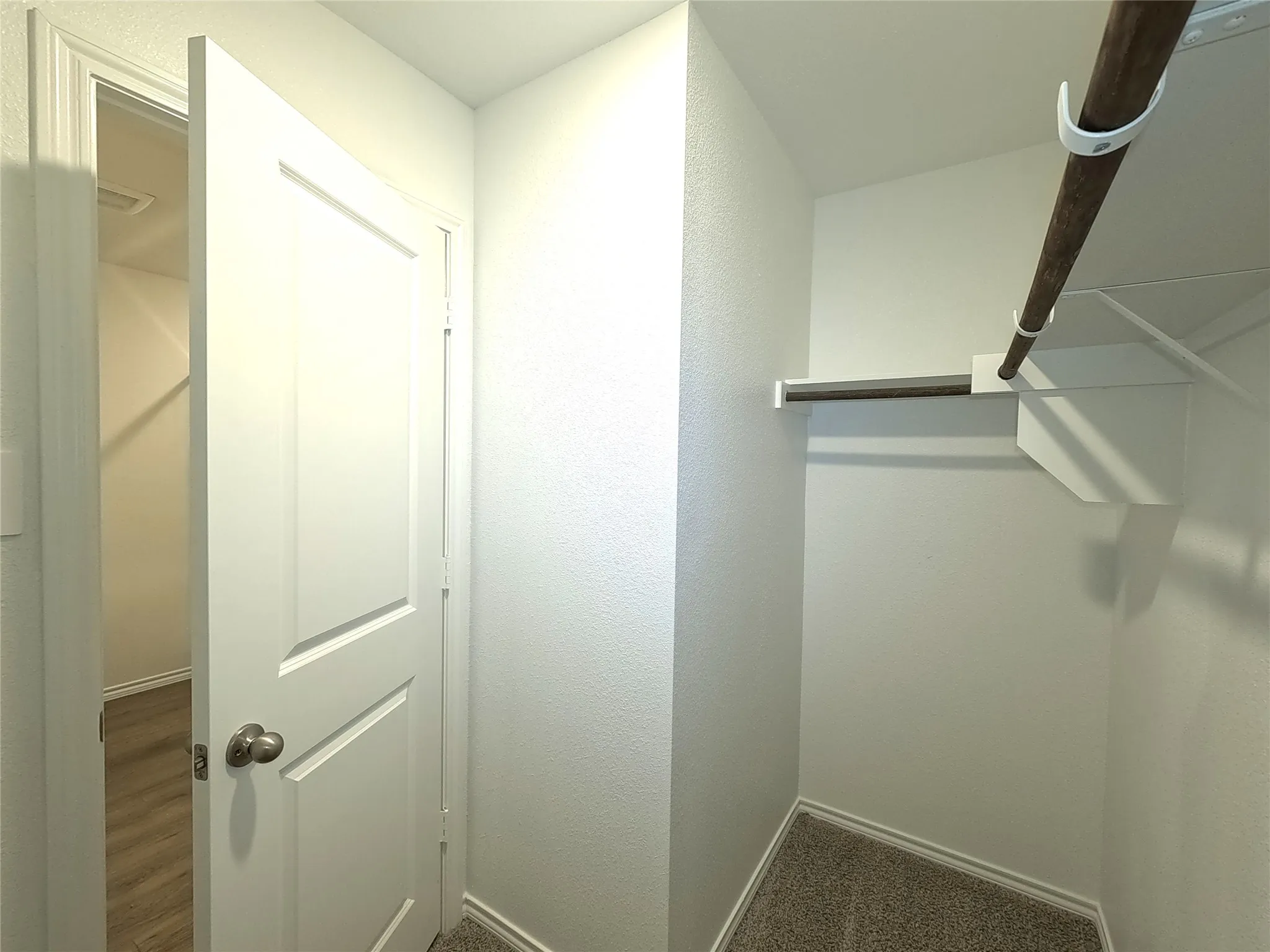 Walk-in closet featuring carpet flooring, built-in shelving, and a hanging rod