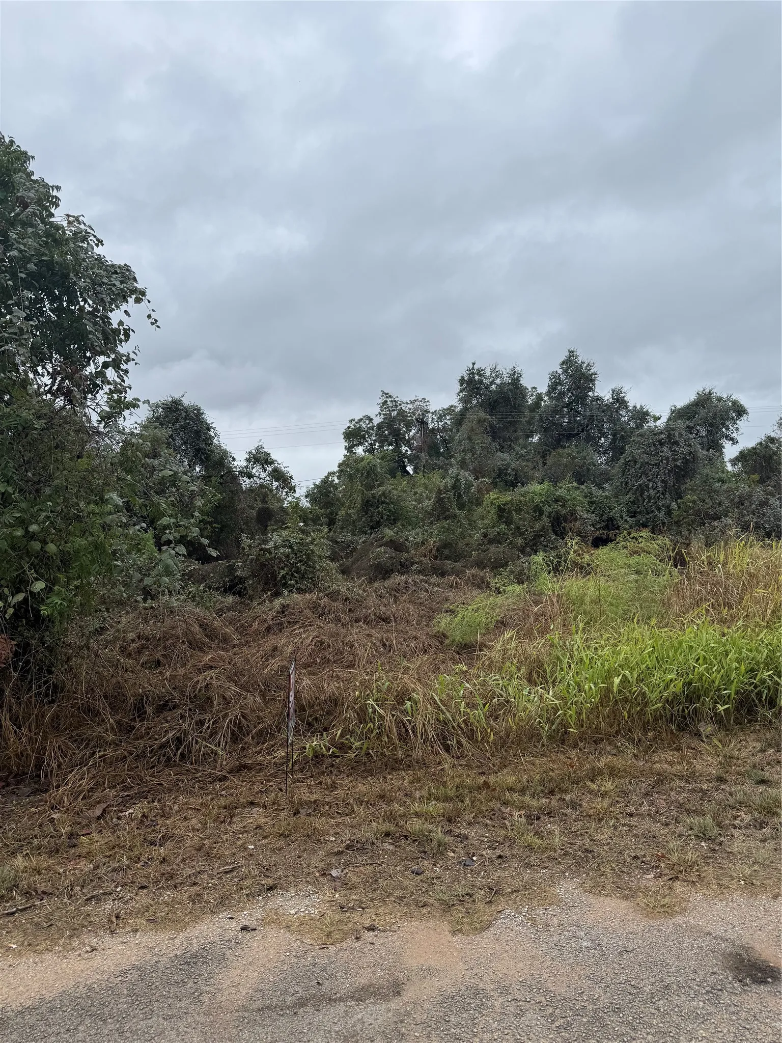 Unimproved Land For Sale in Parker County , 133 Pawnee Trail, Weatherford, Texas 76087, 0, 0, Garage spaces, 0 Sqft, built in 0, mls#21410935, Real Estate Agent in Weatherford, Homes For Sale in Parker county, Homes For Sale in Weatherford, Realtor in Weatherford Texas, Real Estate Brokerage Independent Realty Texas, Luminita Cordes Realtor