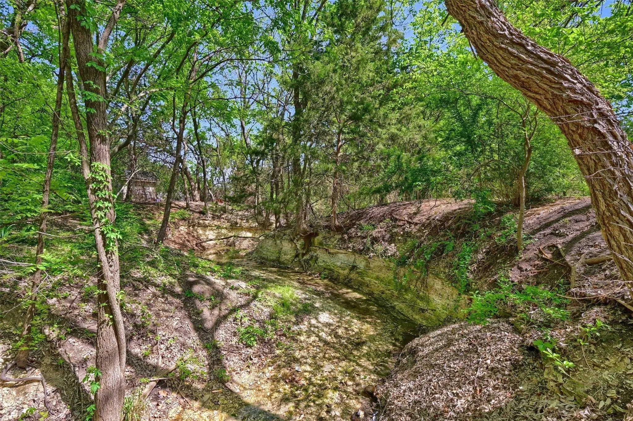 Single Family Residence For Sale in Collin County , 8515 COUNTRY CREEK Lane, Prosper, Texas 75078, 6 Bedroom, 6 Bathroom, 6 Garage spaces, 5,074 Sqft, built in 1996, mls#21404767, Real Estate Agent in Prosper, Homes For Sale in Collin county, Homes For Sale in Prosper, Realtor in Prosper Texas, Real Estate Brokerage Independent Realty Texas, Luminita Cordes Realtor