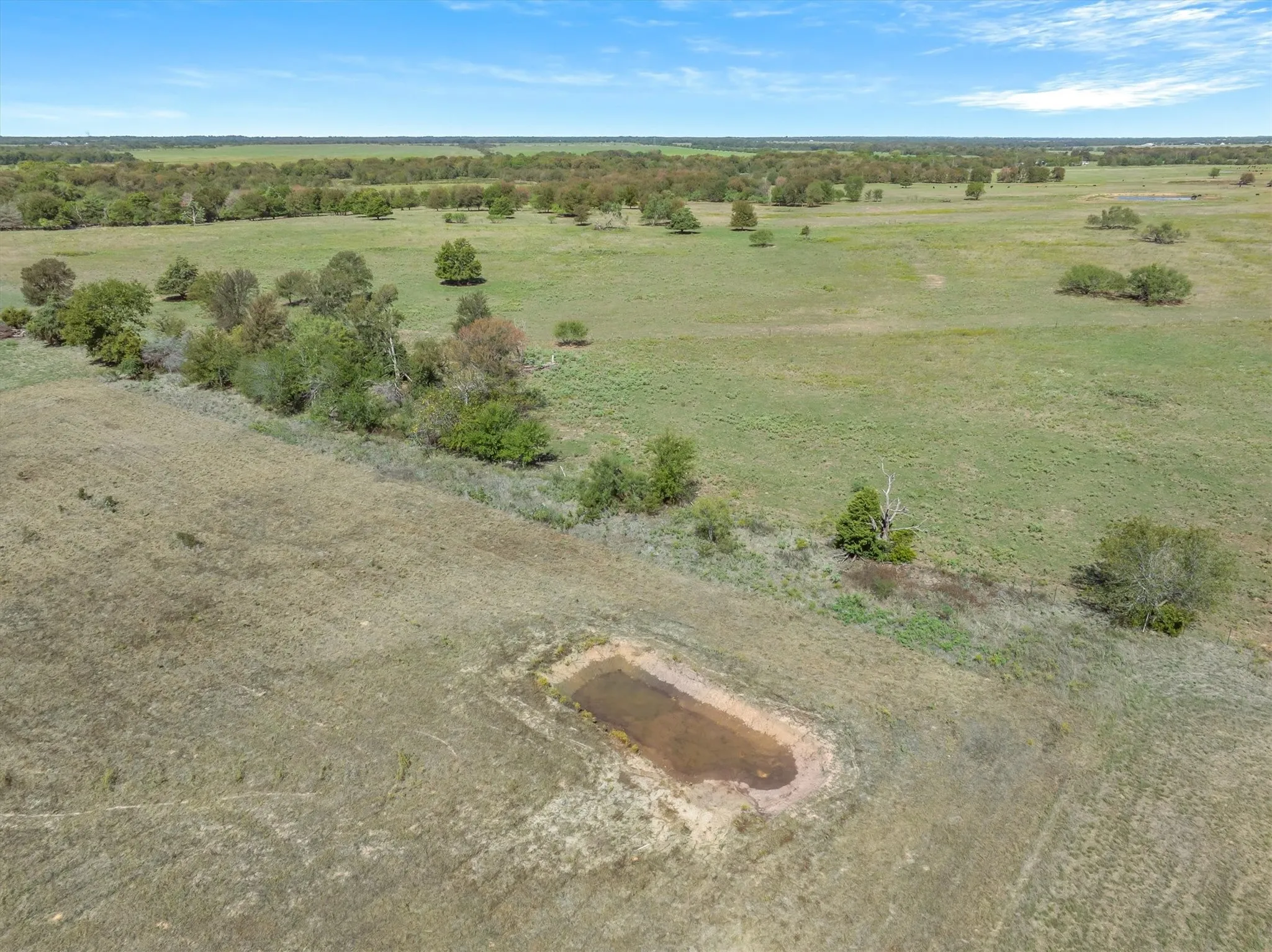 Expansive open acreage featuring a natural water pond and scattered mature trees