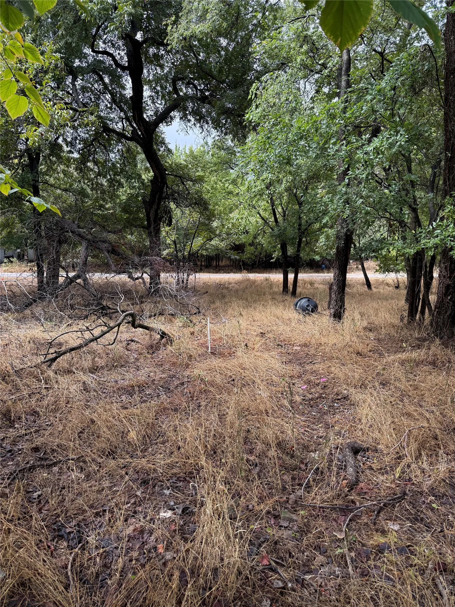 Unimproved Land For Sale in Parker County , 7137 Chippewa Trail, Weatherford, Texas 76087, 0, 0, Garage spaces, 0 Sqft, built in 0, mls#21410994, Real Estate Agent in Weatherford, Homes For Sale in Parker county, Homes For Sale in Weatherford, Realtor in Weatherford Texas, Real Estate Brokerage Independent Realty Texas, Luminita Cordes Realtor