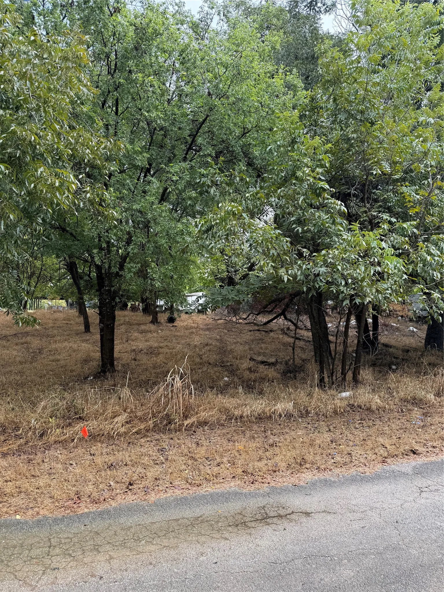 Unimproved Land For Sale in Parker County , 7137 Chippewa Trail, Weatherford, Texas 76087, 0, 0, Garage spaces, 0 Sqft, built in 0, mls#21410994, Real Estate Agent in Weatherford, Homes For Sale in Parker county, Homes For Sale in Weatherford, Realtor in Weatherford Texas, Real Estate Brokerage Independent Realty Texas, Luminita Cordes Realtor