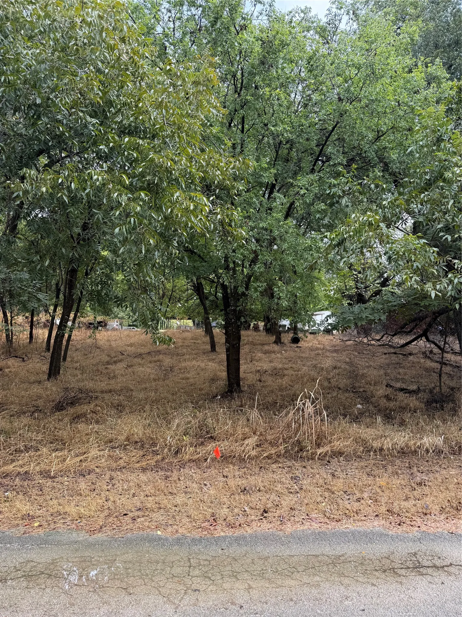 Unimproved Land For Sale in Parker County , 7137 Chippewa Trail, Weatherford, Texas 76087, 0, 0, Garage spaces, 0 Sqft, built in 0, mls#21410994, Real Estate Agent in Weatherford, Homes For Sale in Parker county, Homes For Sale in Weatherford, Realtor in Weatherford Texas, Real Estate Brokerage Independent Realty Texas, Luminita Cordes Realtor