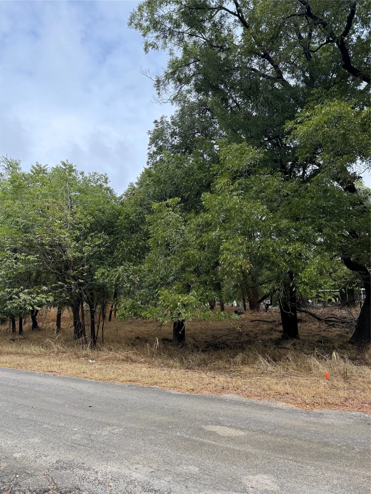 Unimproved Land For Sale in Parker County , 7137 Chippewa Trail, Weatherford, Texas 76087, 0, 0, Garage spaces, 0 Sqft, built in 0, mls#21410994, Real Estate Agent in Weatherford, Homes For Sale in Parker county, Homes For Sale in Weatherford, Realtor in Weatherford Texas, Real Estate Brokerage Independent Realty Texas, Luminita Cordes Realtor