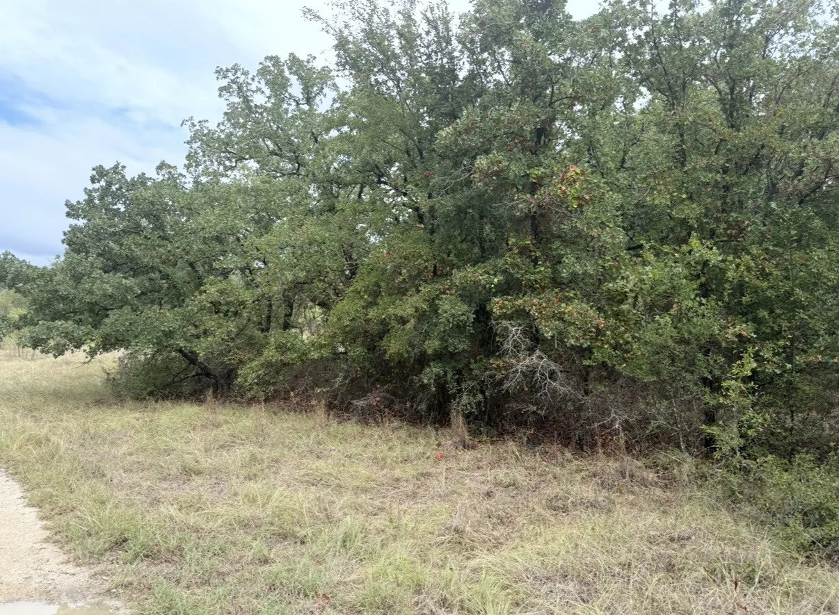 Unimproved Land For Sale in Wise County , 207 Lindsey Lane, Runaway Bay, Texas 76426, 0, 0, Garage spaces, 0 Sqft, built in 0, mls#21411047, Real Estate Agent in Runaway Bay, Homes For Sale in Wise county, Homes For Sale in Runaway Bay, Realtor in Runaway Bay Texas, Real Estate Brokerage Independent Realty Texas, Luminita Cordes Realtor
