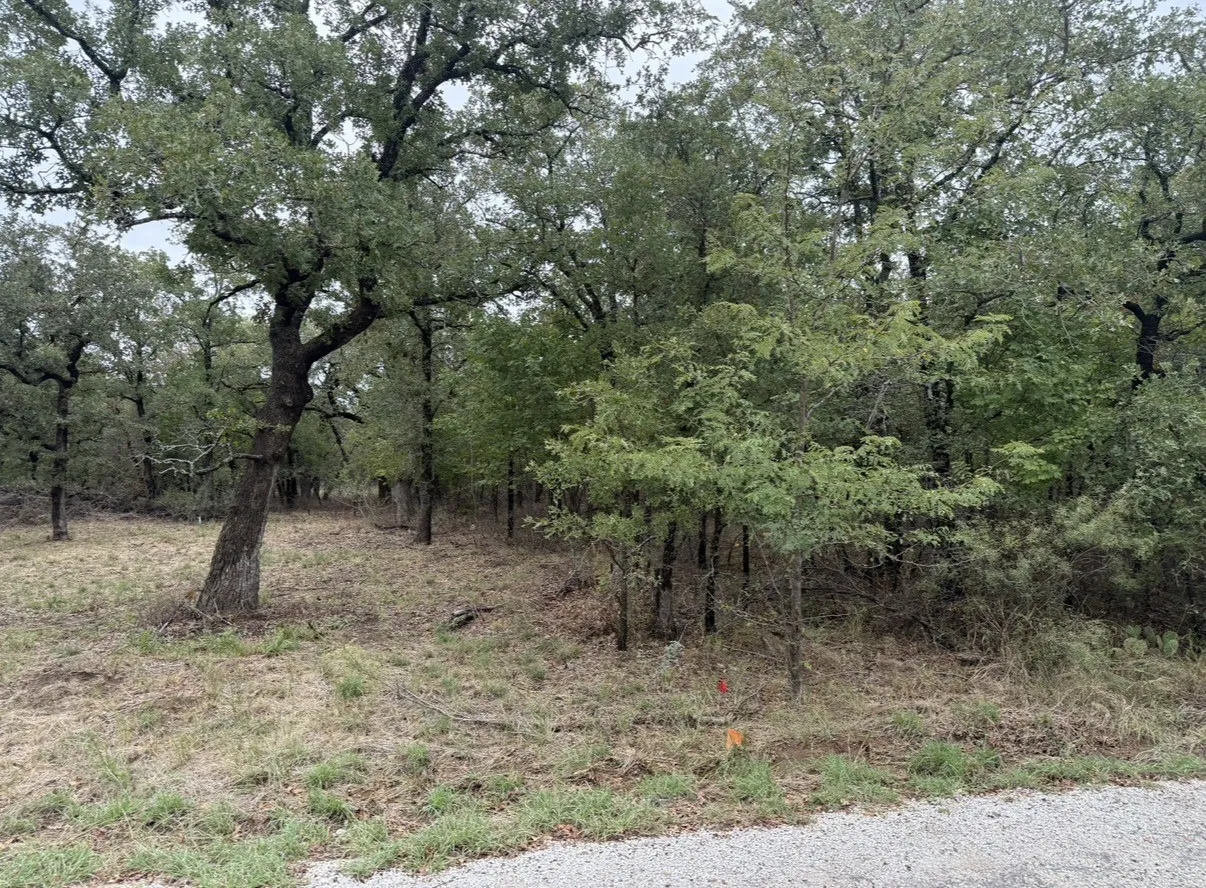 Unimproved Land For Sale in Wise County , 207 Lindsey Lane, Runaway Bay, Texas 76426, 0, 0, Garage spaces, 0 Sqft, built in 0, mls#21411047, Real Estate Agent in Runaway Bay, Homes For Sale in Wise county, Homes For Sale in Runaway Bay, Realtor in Runaway Bay Texas, Real Estate Brokerage Independent Realty Texas, Luminita Cordes Realtor