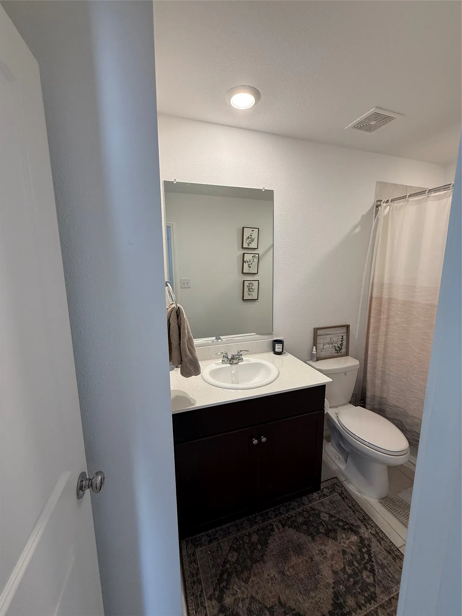 Single Family Residence For Rent in Collin County , 228 Jasmine Drive, Princeton, Texas 75407, 3 Bedroom, 2 Bathroom, 2 Garage spaces, 1,260 Sqft, built in 2022, mls#21410648, Real Estate Agent in Princeton, Homes For Rent in Collin county, Homes For Rent in Princeton, Realtor in Princeton Texas, Real Estate Brokerage Independent Realty Texas, Luminita Cordes Realtor
