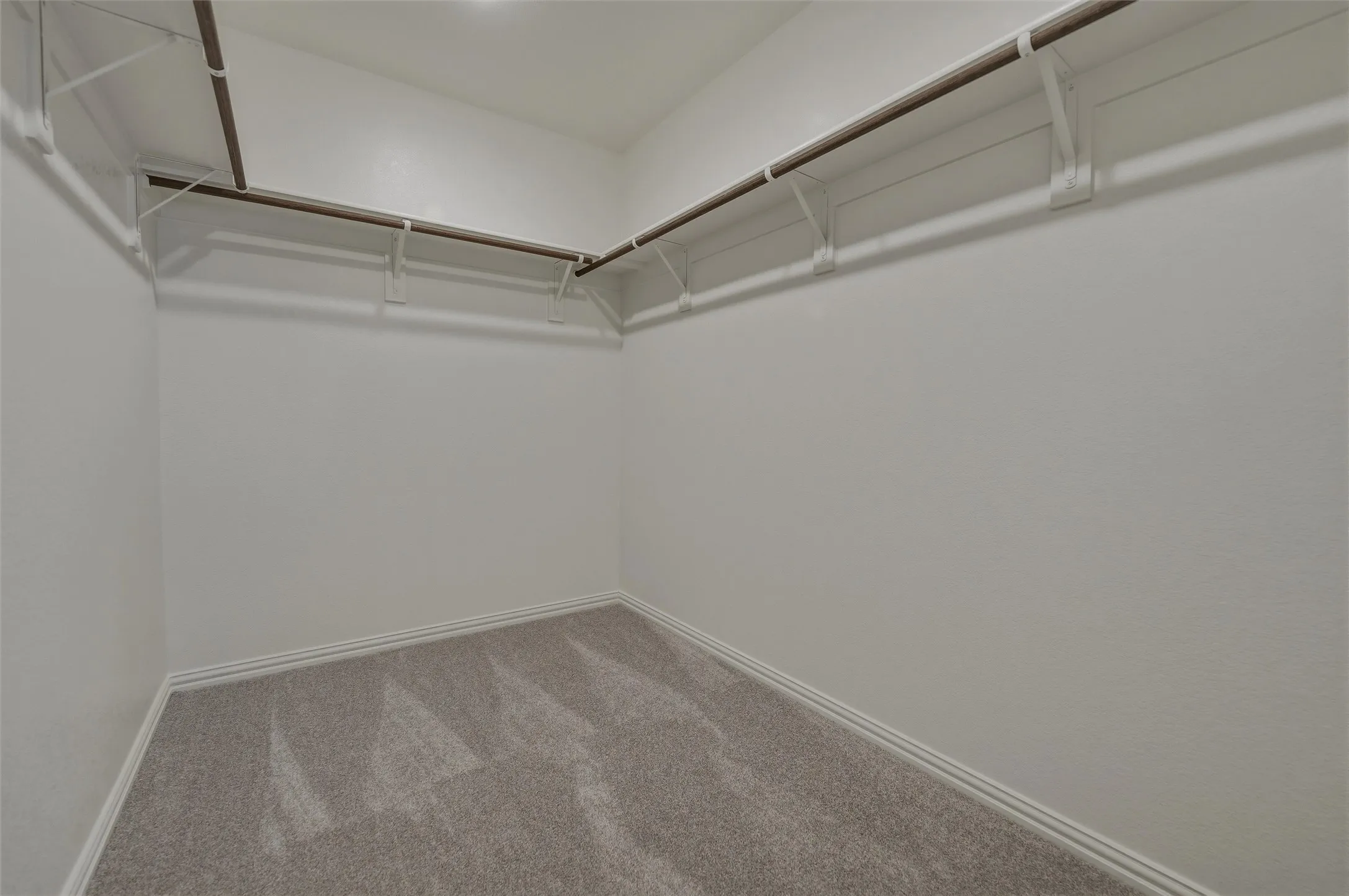 Walk-in closet featuring carpet flooring, crisp white walls, and built-in shelving with hanging rods