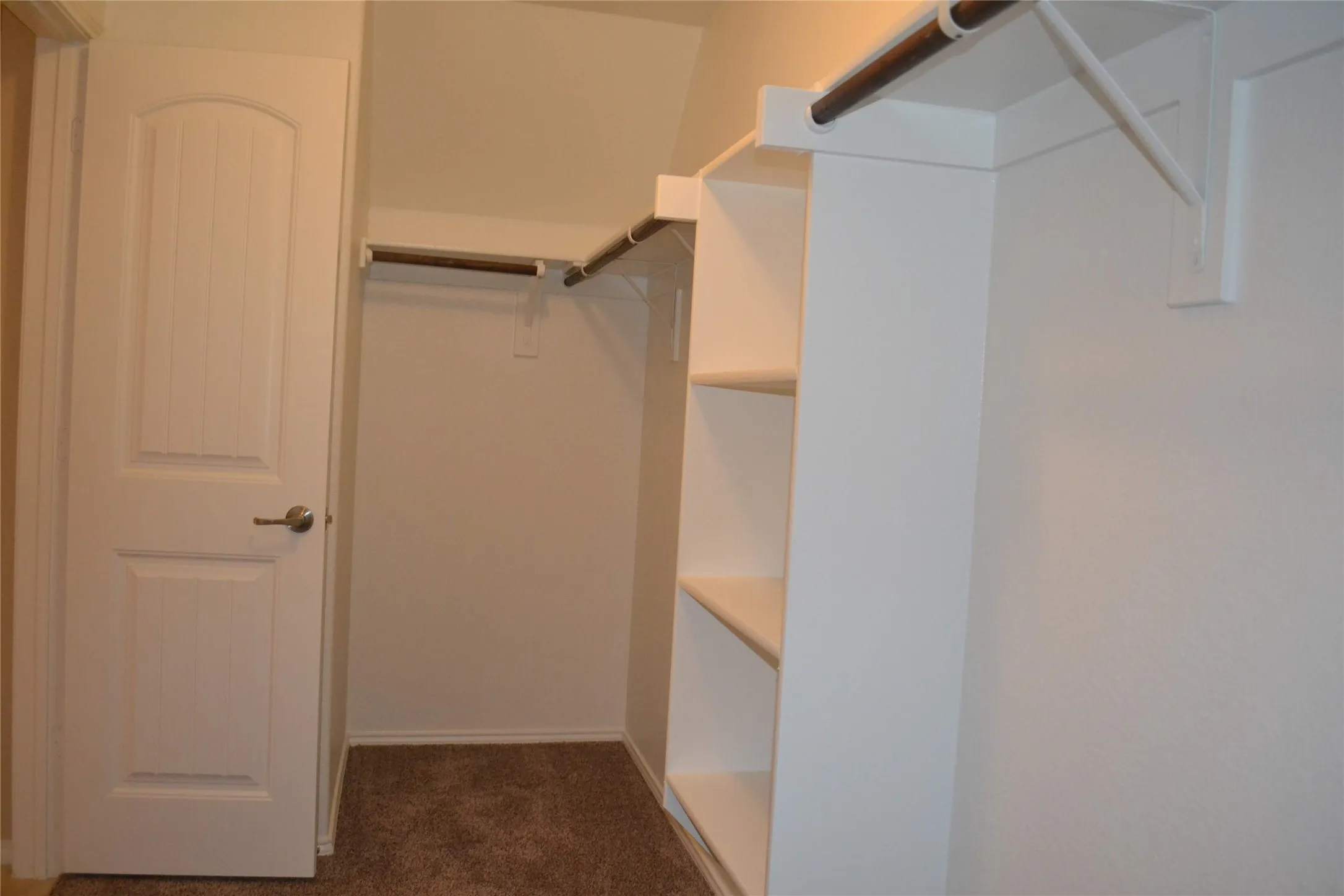 Walk-in closet featuring white built-in shelving, integrated hanging rods, wall-to-wall carpeting, and a solid-core interior door with satin nickel hardware