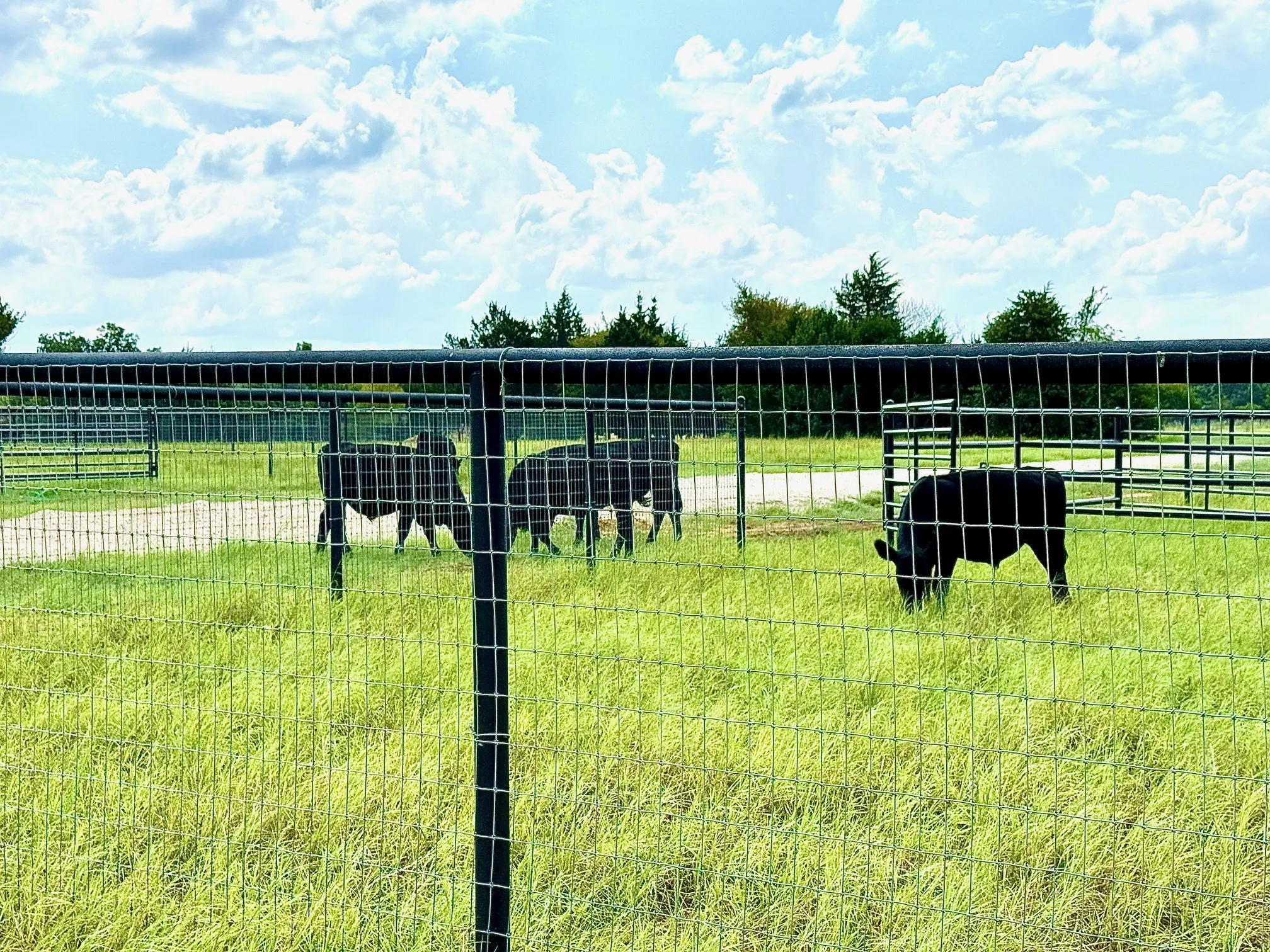 View of pasture