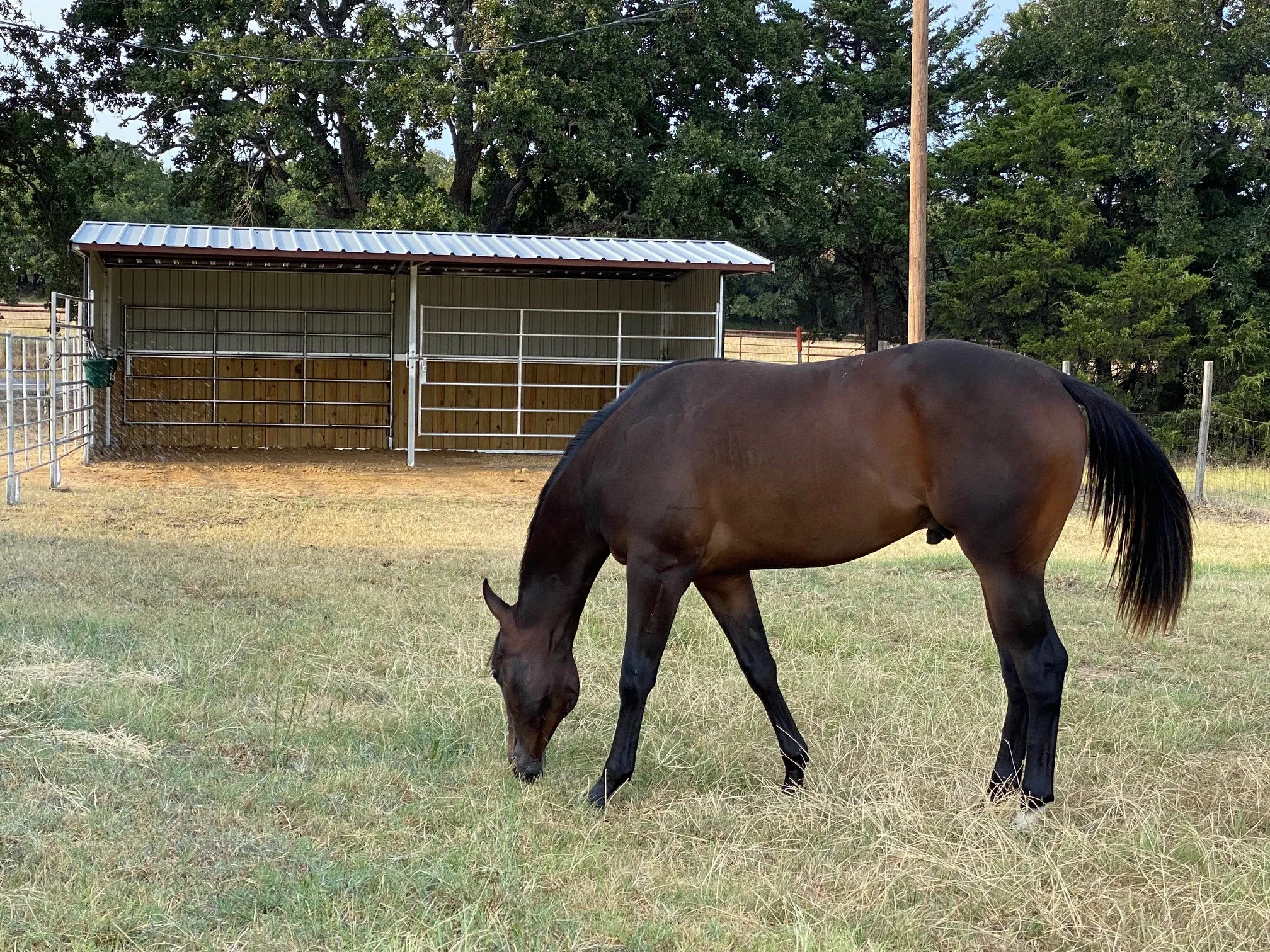 Run and stalls