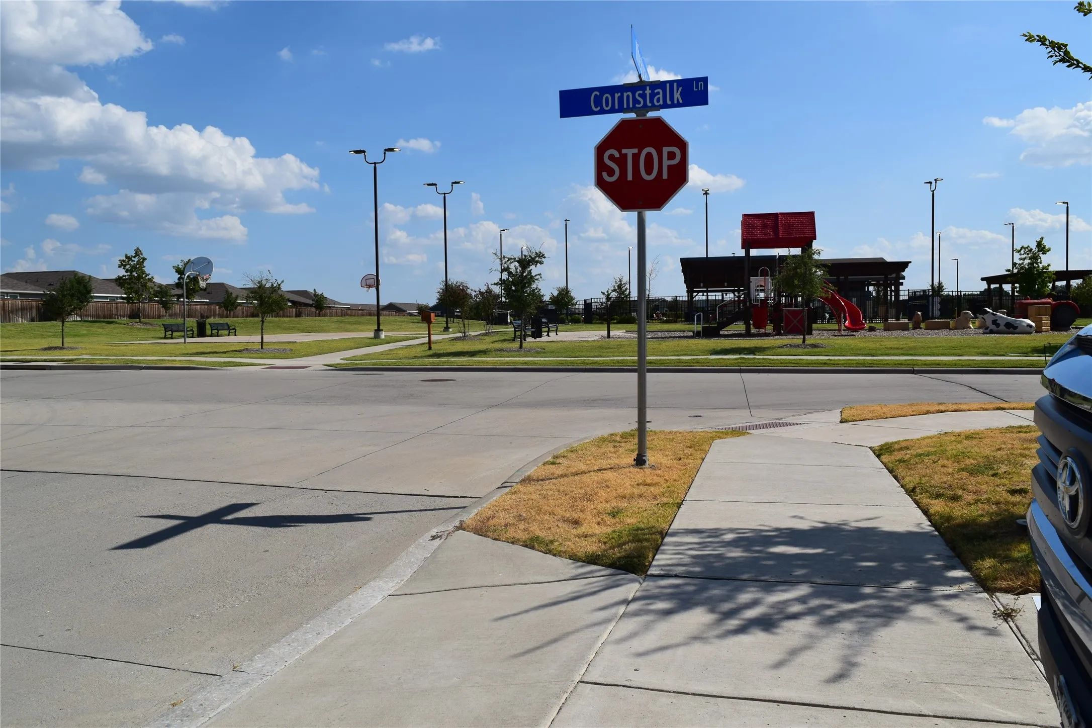Single Family Residence For Rent in Collin County , 318 Wheatgrass Lane, Princeton, Texas 75407, 3 Bedroom, 2 Bathroom, 2 Garage spaces, 1,262 Sqft, built in 2023, mls#21410866, Real Estate Agent in Princeton, Homes For Rent in Collin county, Homes For Rent in Princeton, Realtor in Princeton Texas, Real Estate Brokerage Independent Realty Texas, Luminita Cordes Realtor