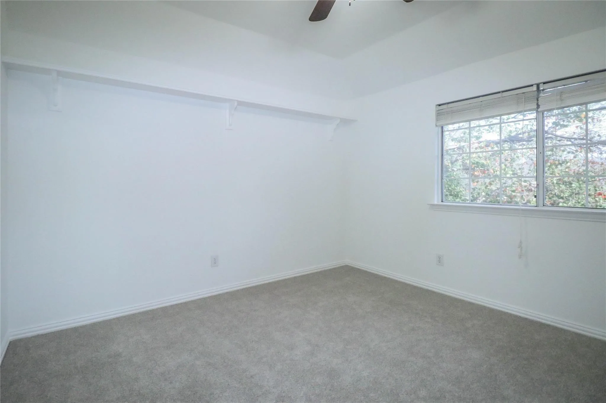 Neutral-toned wall-to-wall carpeting, high ceilings, large window with horizontal blinds, ceiling fan, and built-in wall shelving