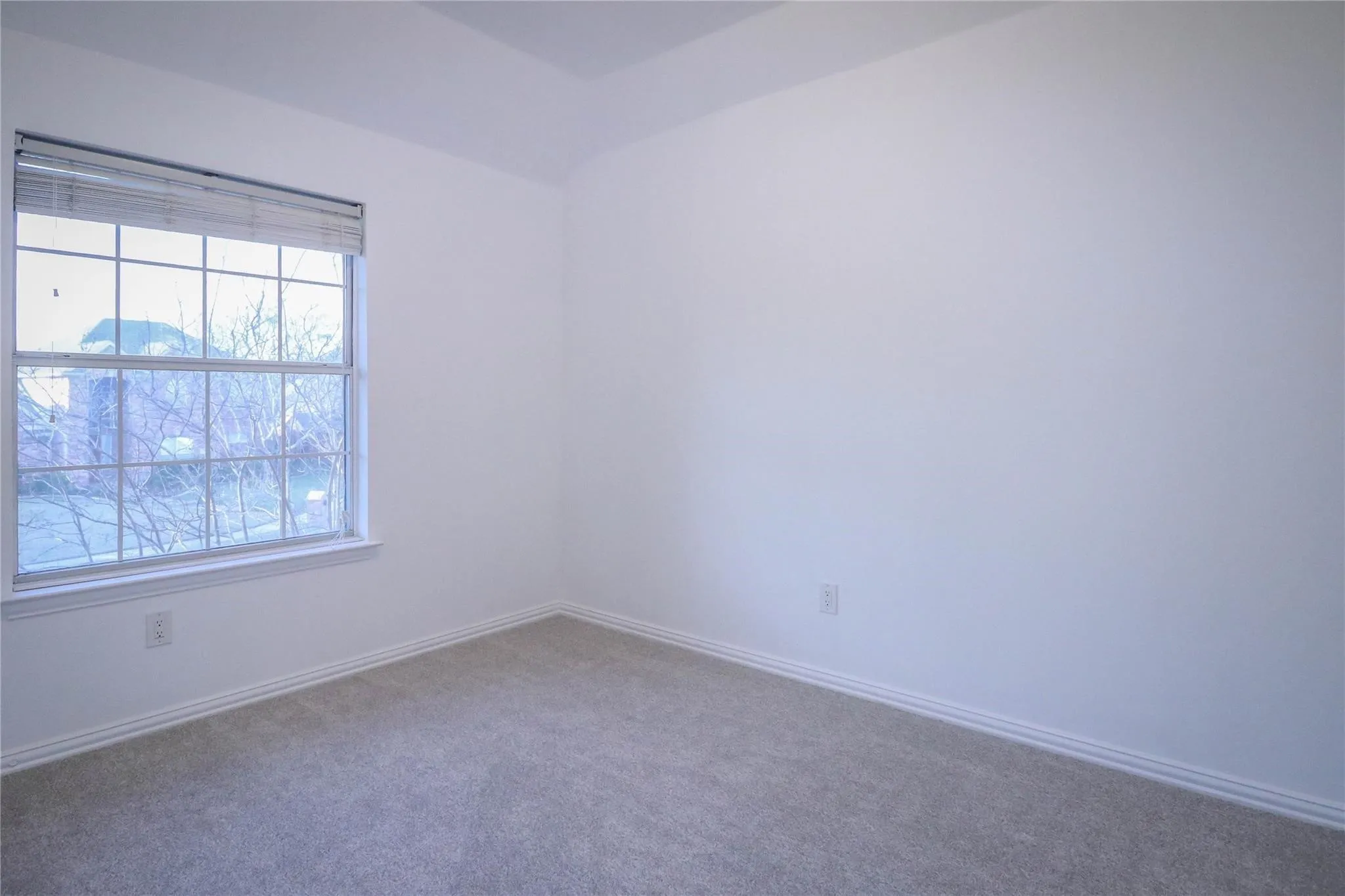 Neutral-toned wall-to-wall carpeting, single-hung window with a multi-pane grid, and tray ceiling