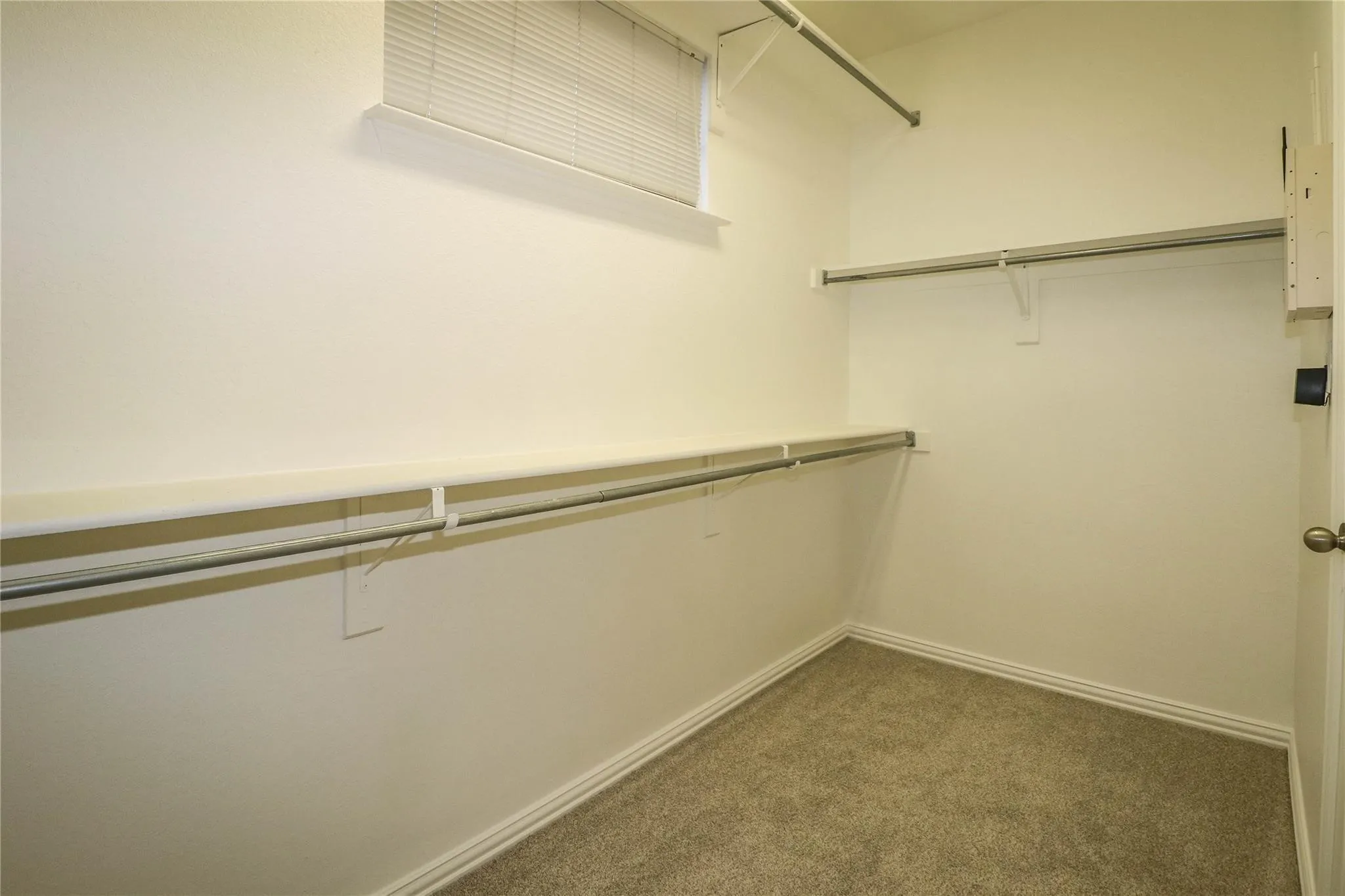Walk-in storage space featuring neutral carpeting, tiered shelving, and metal hanging rods