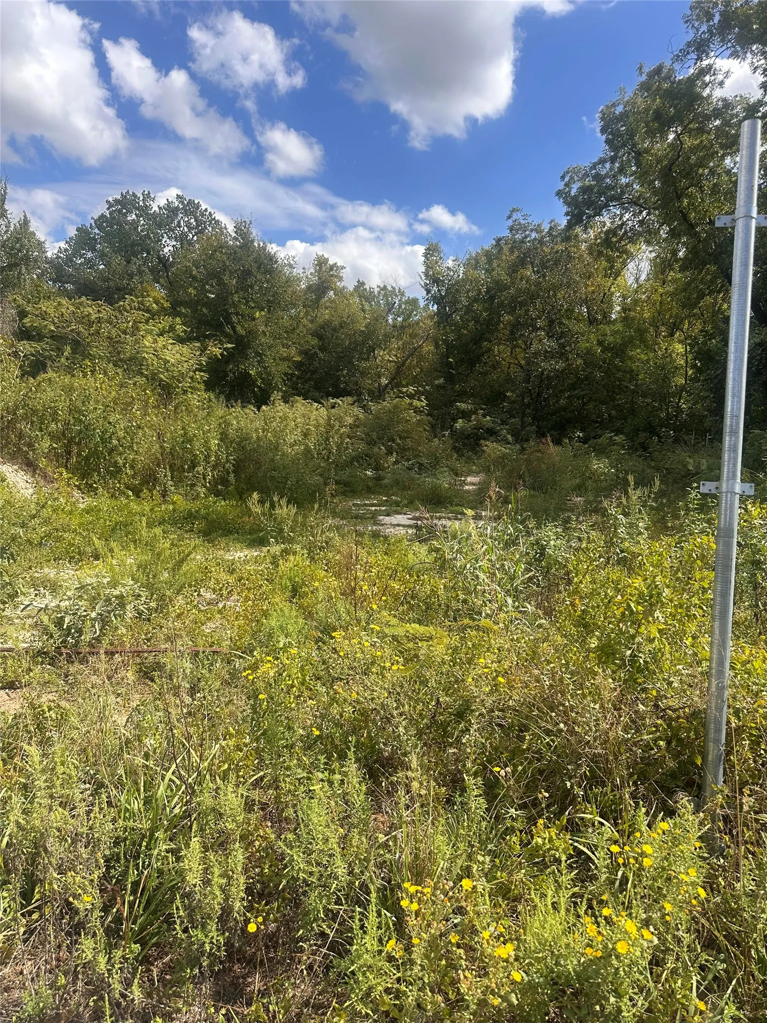 Unimproved Land For Sale