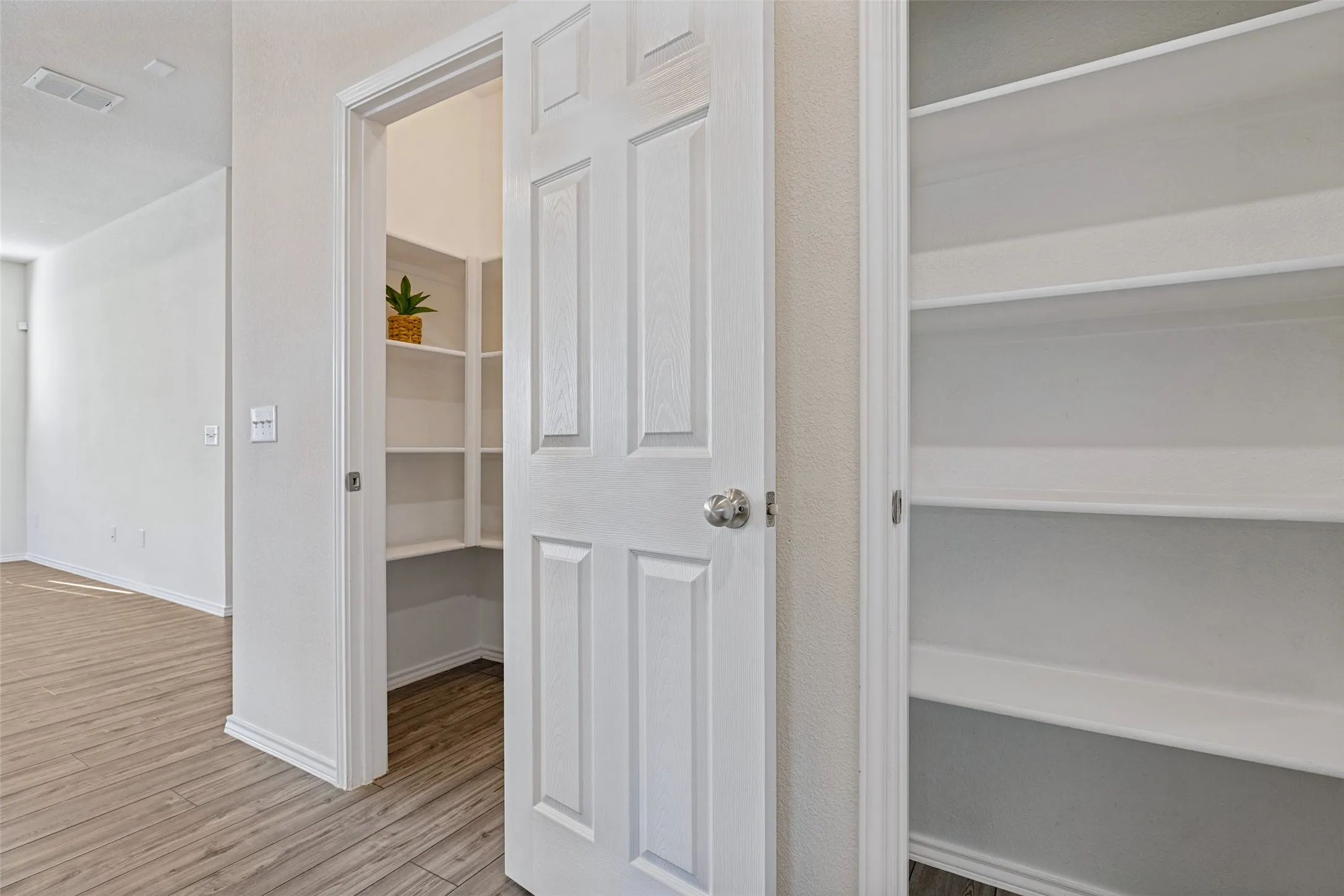 Very large walk-in pantry with an additional panty or linen closet just off kitchen