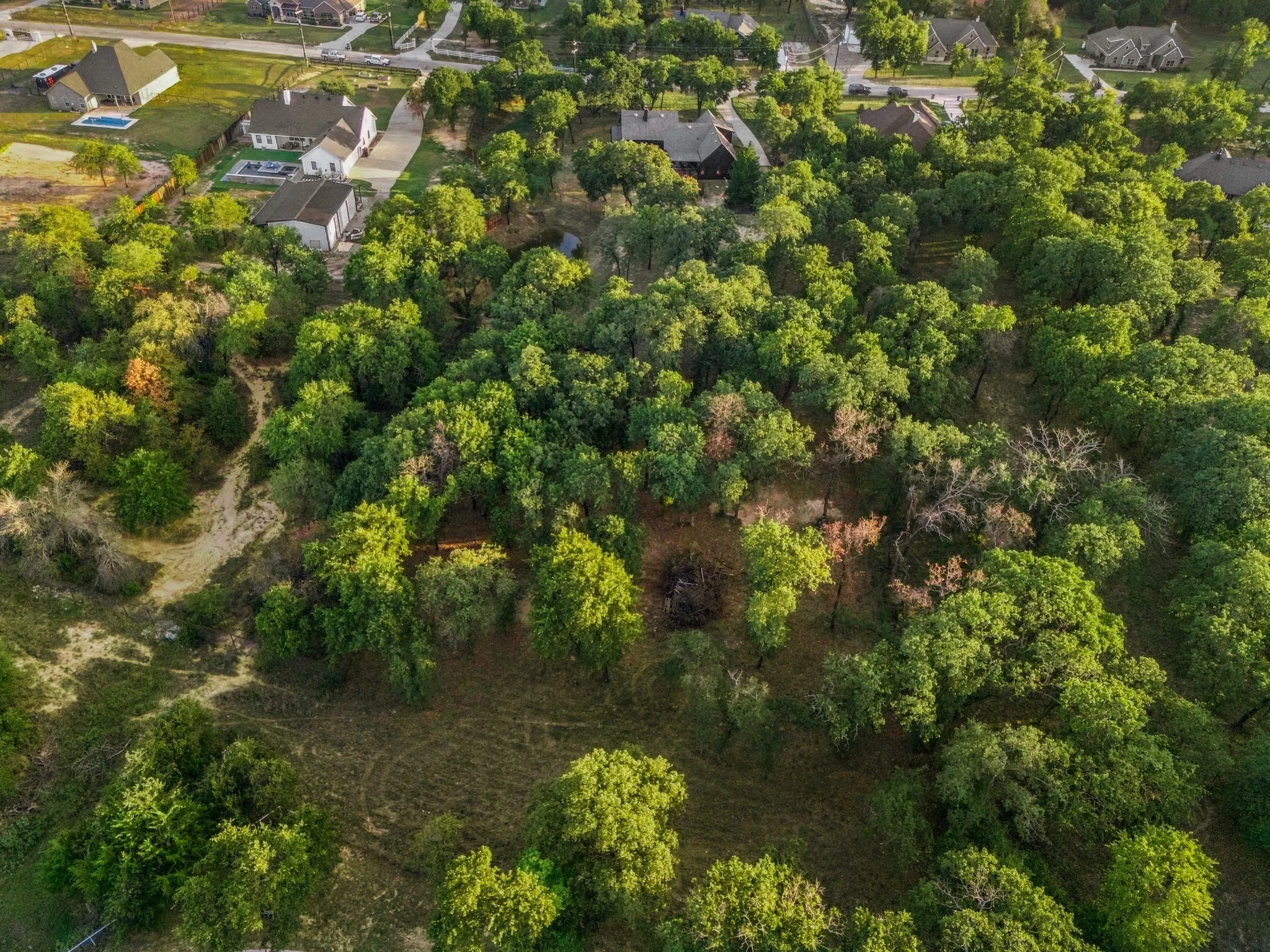 Heavily wooded with 3-D archery set up