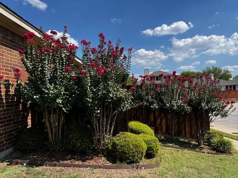Single Family Residence For Rent in Tarrant County , 5000 Royal Burgess Drive, Fort Worth, Texas 76135, 4 Bedroom, 2 Bathroom, 2 Garage spaces, 1,670 Sqft, built in 2004, mls#21409801, Real Estate Agent in Fort Worth, Homes For Rent in Tarrant county, Homes For Rent in Fort Worth, Realtor in Fort Worth Texas, Real Estate Brokerage Independent Realty Texas, Luminita Cordes Realtor