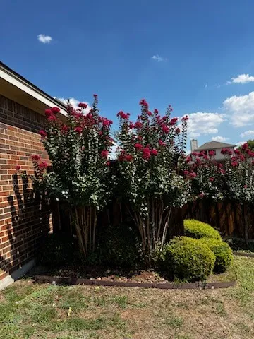 Single Family Residence For Rent in Tarrant County , 5000 Royal Burgess Drive, Fort Worth, Texas 76135, 4 Bedroom, 2 Bathroom, 2 Garage spaces, 1,670 Sqft, built in 2004, mls#21409801, Real Estate Agent in Fort Worth, Homes For Rent in Tarrant county, Homes For Rent in Fort Worth, Realtor in Fort Worth Texas, Real Estate Brokerage Independent Realty Texas, Luminita Cordes Realtor