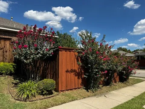 Single Family Residence For Rent in Tarrant County , 5000 Royal Burgess Drive, Fort Worth, Texas 76135, 4 Bedroom, 2 Bathroom, 2 Garage spaces, 1,670 Sqft, built in 2004, mls#21409801, Real Estate Agent in Fort Worth, Homes For Rent in Tarrant county, Homes For Rent in Fort Worth, Realtor in Fort Worth Texas, Real Estate Brokerage Independent Realty Texas, Luminita Cordes Realtor