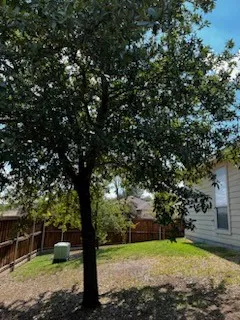 Single Family Residence For Rent in Tarrant County , 5000 Royal Burgess Drive, Fort Worth, Texas 76135, 4 Bedroom, 2 Bathroom, 2 Garage spaces, 1,670 Sqft, built in 2004, mls#21409801, Real Estate Agent in Fort Worth, Homes For Rent in Tarrant county, Homes For Rent in Fort Worth, Realtor in Fort Worth Texas, Real Estate Brokerage Independent Realty Texas, Luminita Cordes Realtor