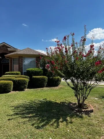 Single Family Residence For Rent in Tarrant County , 5000 Royal Burgess Drive, Fort Worth, Texas 76135, 4 Bedroom, 2 Bathroom, 2 Garage spaces, 1,670 Sqft, built in 2004, mls#21409801, Real Estate Agent in Fort Worth, Homes For Rent in Tarrant county, Homes For Rent in Fort Worth, Realtor in Fort Worth Texas, Real Estate Brokerage Independent Realty Texas, Luminita Cordes Realtor