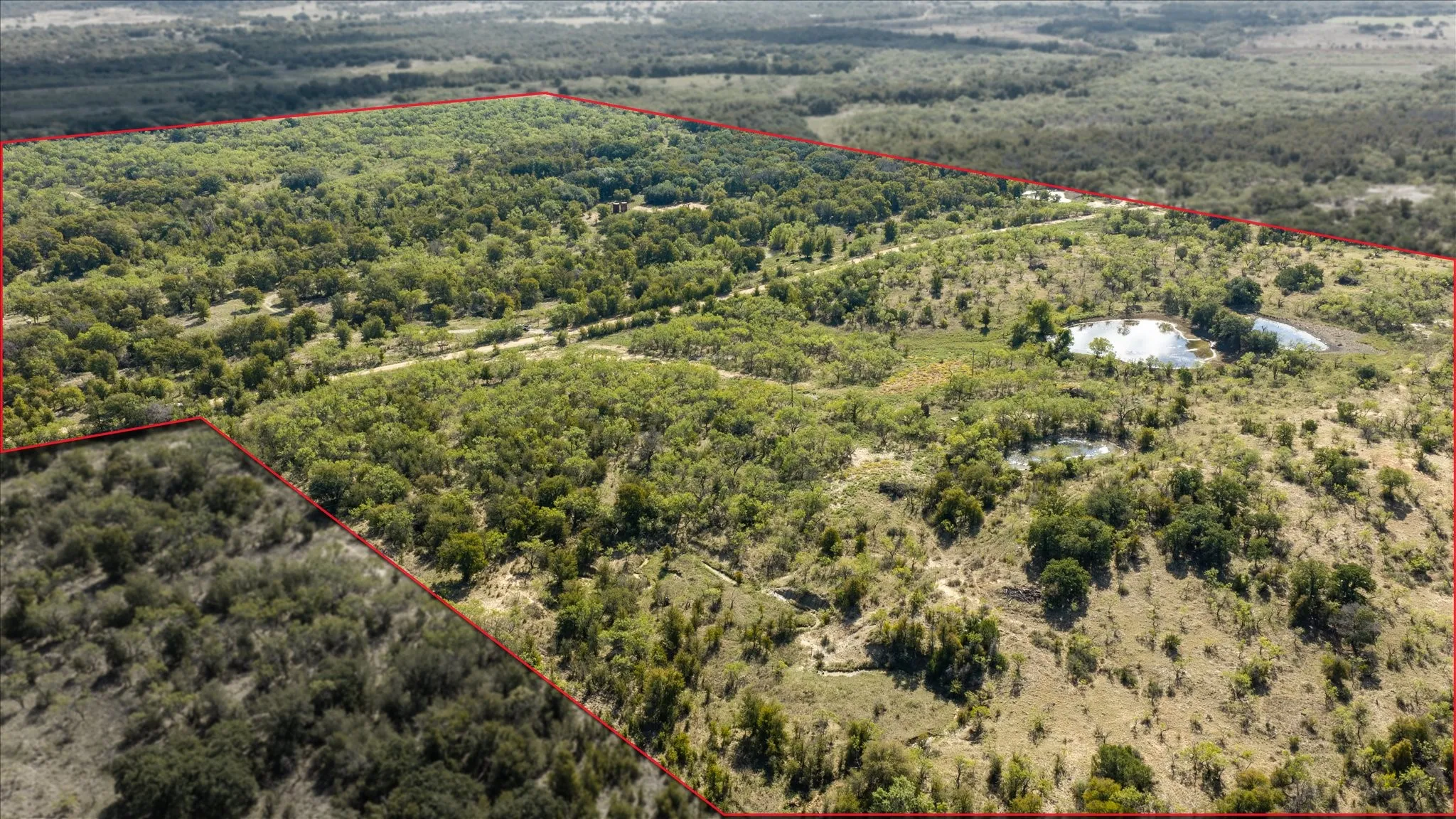Aerial view with boundary lines