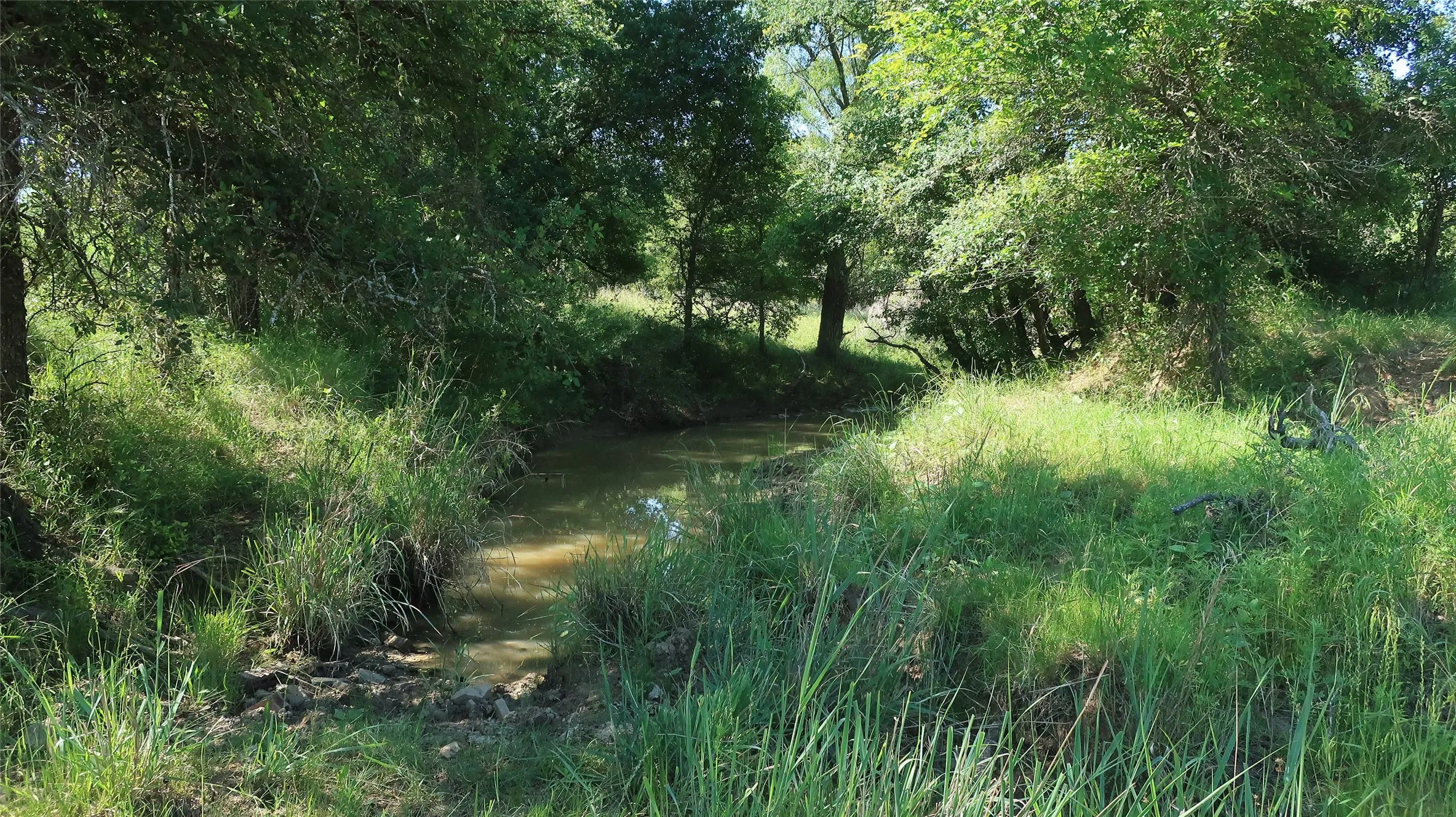 Creek view