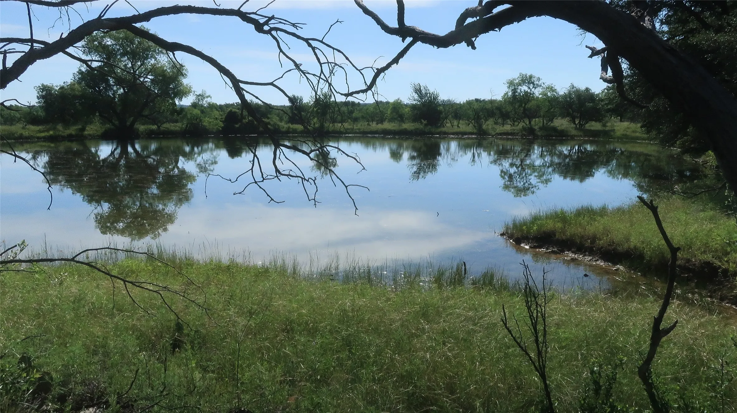 Pond view