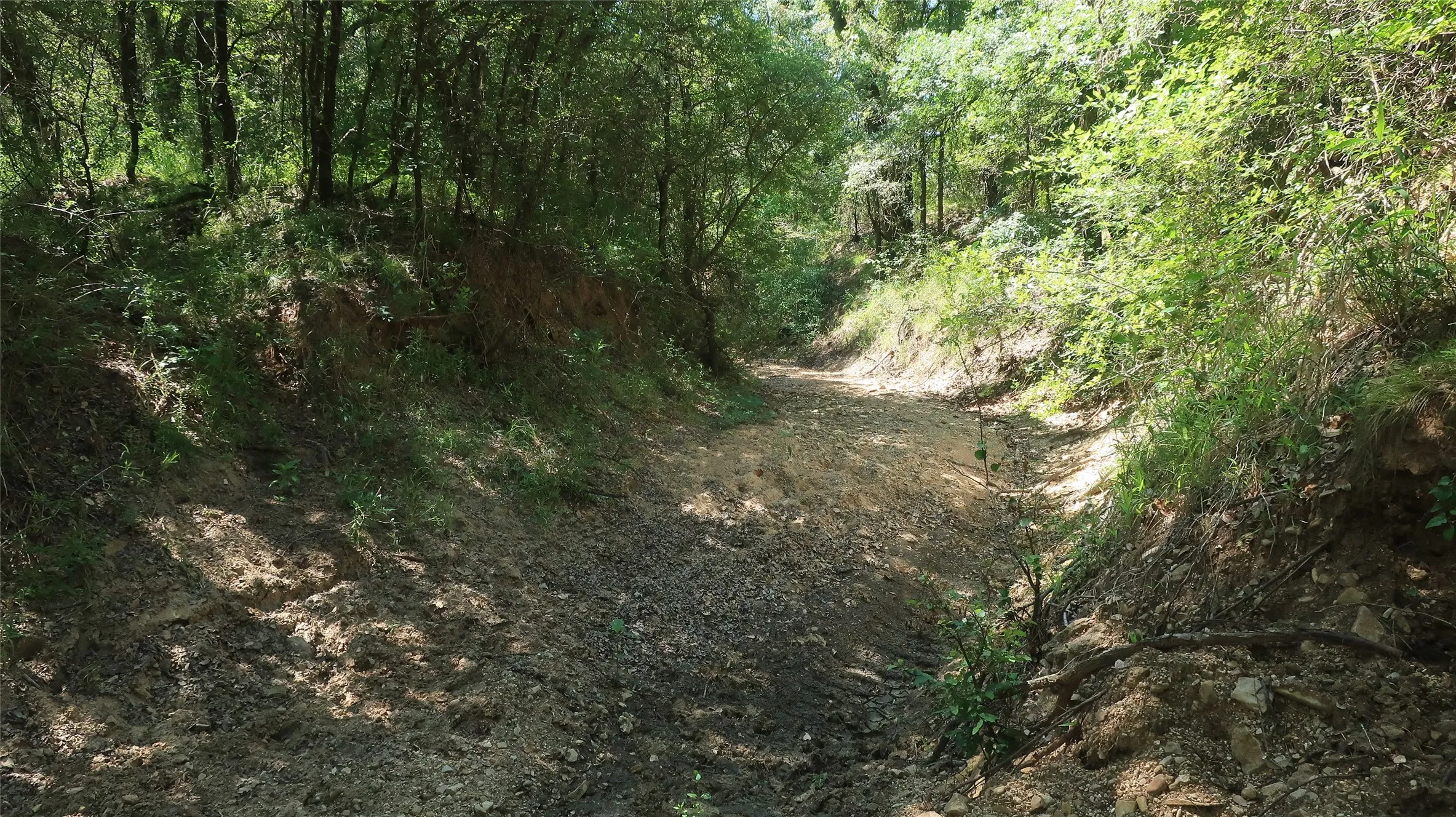 Creek view