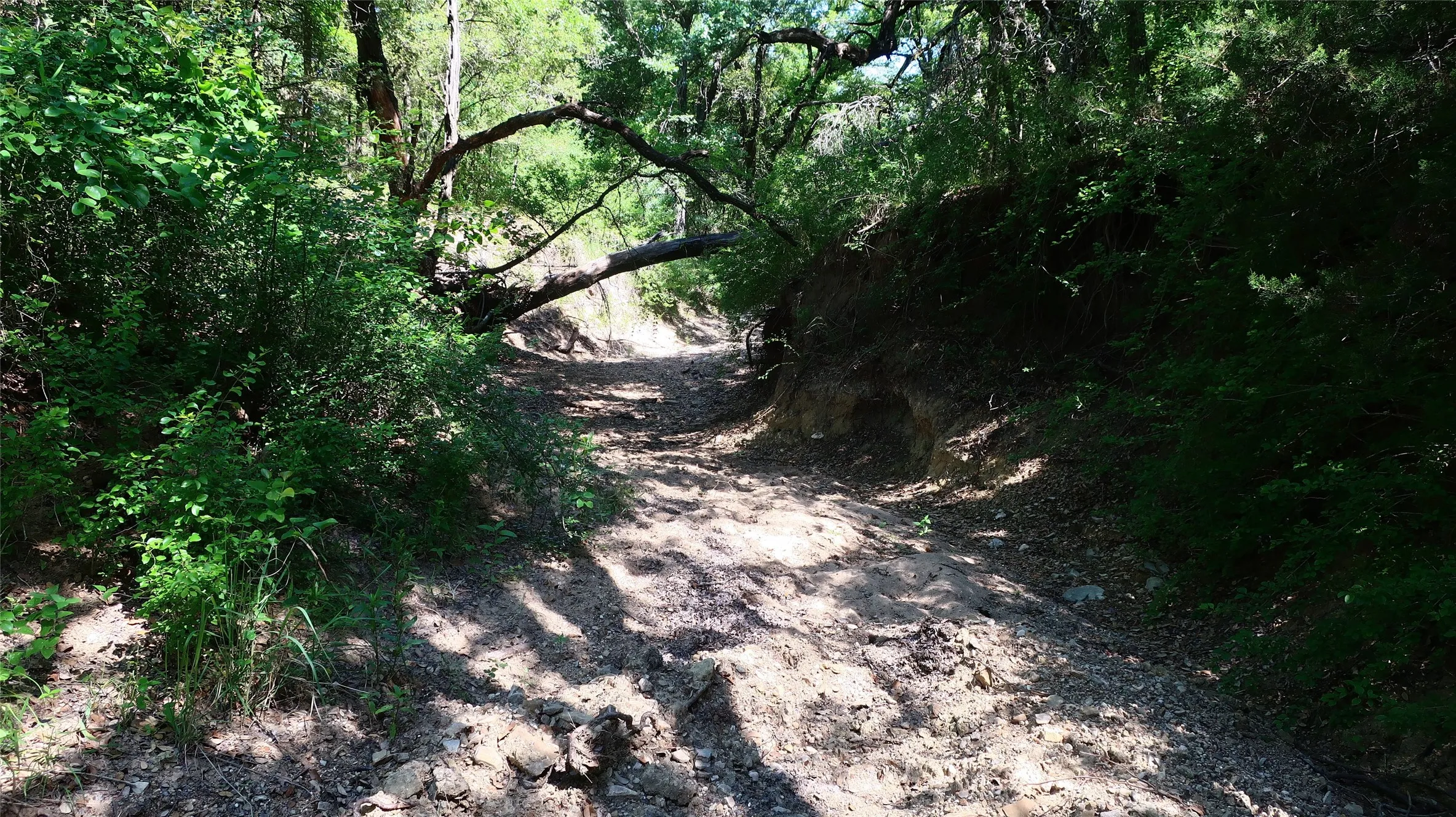 Creek view