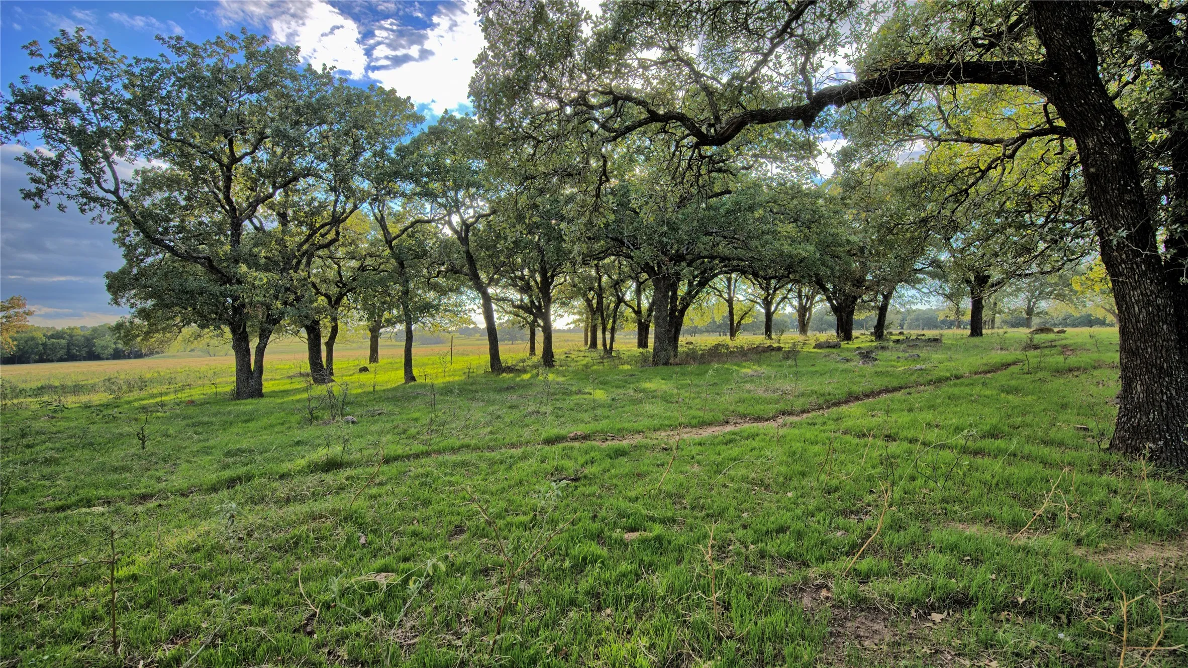 Improved Land For Sale in Montague County , 2519 Upper Montague Road, Bowie, Texas 76230, 0, 0, Garage spaces, 0 Sqft, built in 0, mls#21398988, Real Estate Agent in Bowie, Homes For Sale in Montague county, Homes For Sale in Bowie, Realtor in Bowie Texas, Real Estate Brokerage Independent Realty Texas, Luminita Cordes Realtor