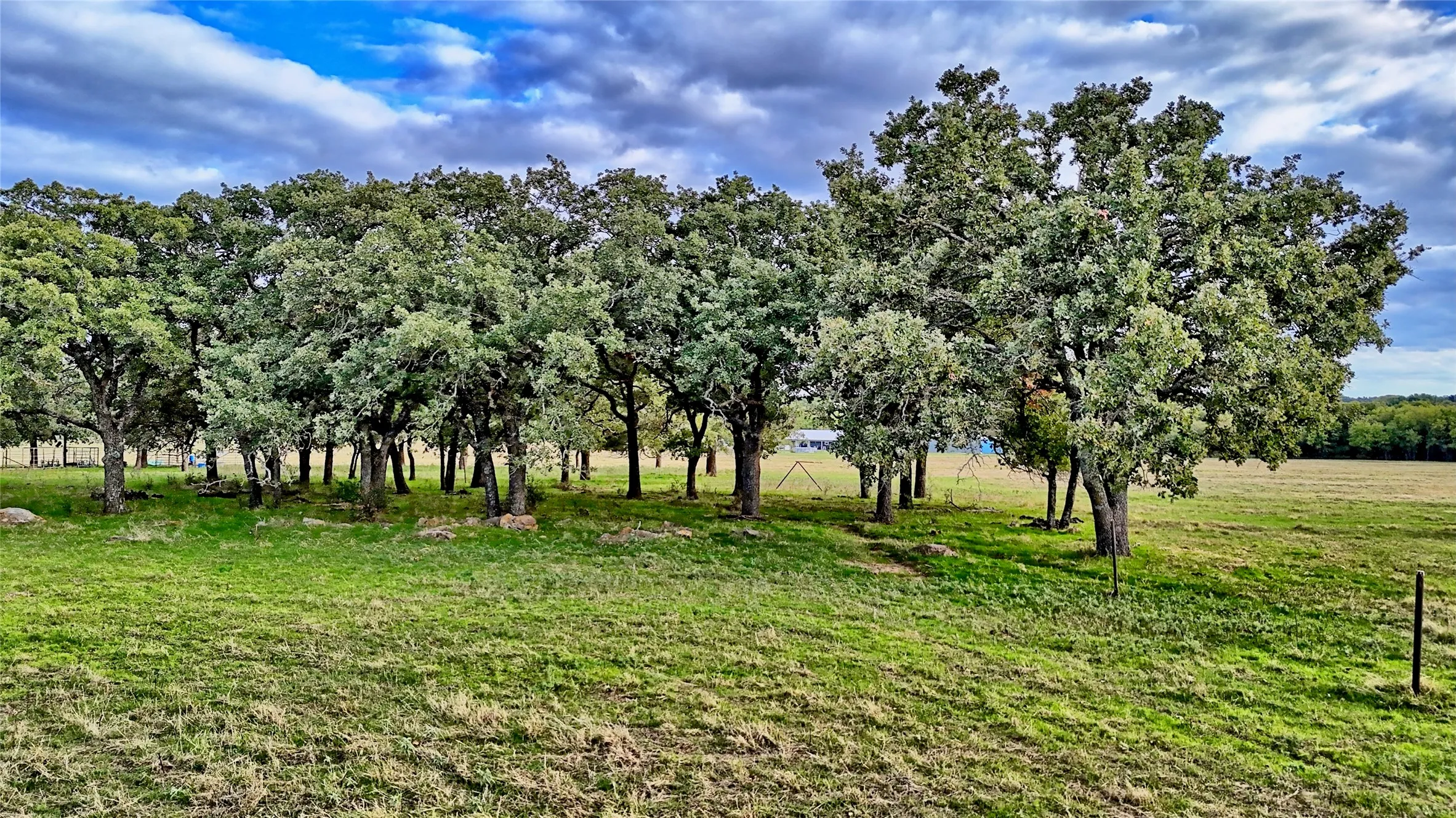 Improved Land For Sale in Montague County , 2519 Upper Montague Road, Bowie, Texas 76230, 0, 0, Garage spaces, 0 Sqft, built in 0, mls#21398988, Real Estate Agent in Bowie, Homes For Sale in Montague county, Homes For Sale in Bowie, Realtor in Bowie Texas, Real Estate Brokerage Independent Realty Texas, Luminita Cordes Realtor