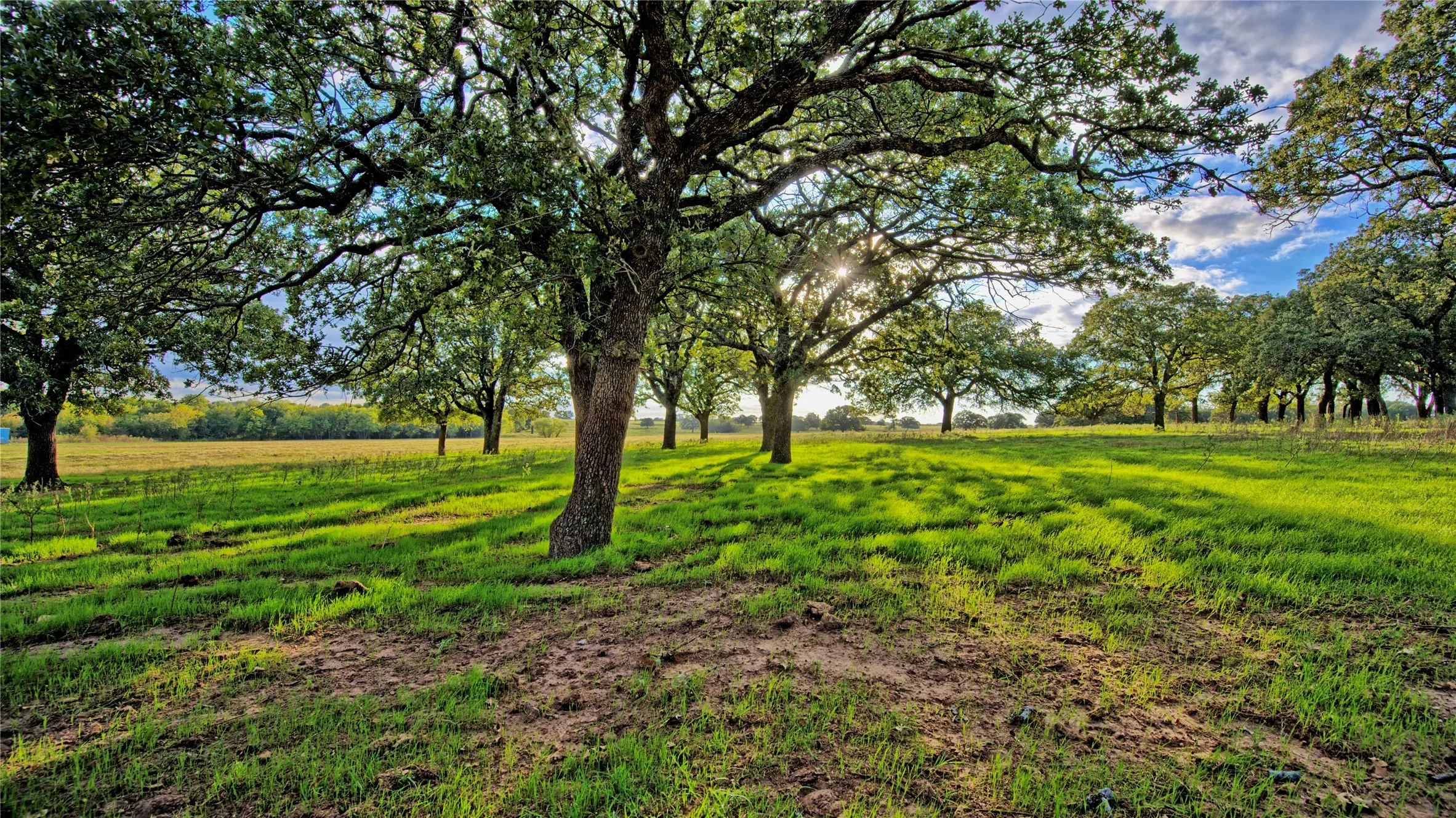 Improved Land For Sale in Montague County , 2519 Upper Montague Road, Bowie, Texas 76230, 0, 0, Garage spaces, 0 Sqft, built in 0, mls#21398988, Real Estate Agent in Bowie, Homes For Sale in Montague county, Homes For Sale in Bowie, Realtor in Bowie Texas, Real Estate Brokerage Independent Realty Texas, Luminita Cordes Realtor