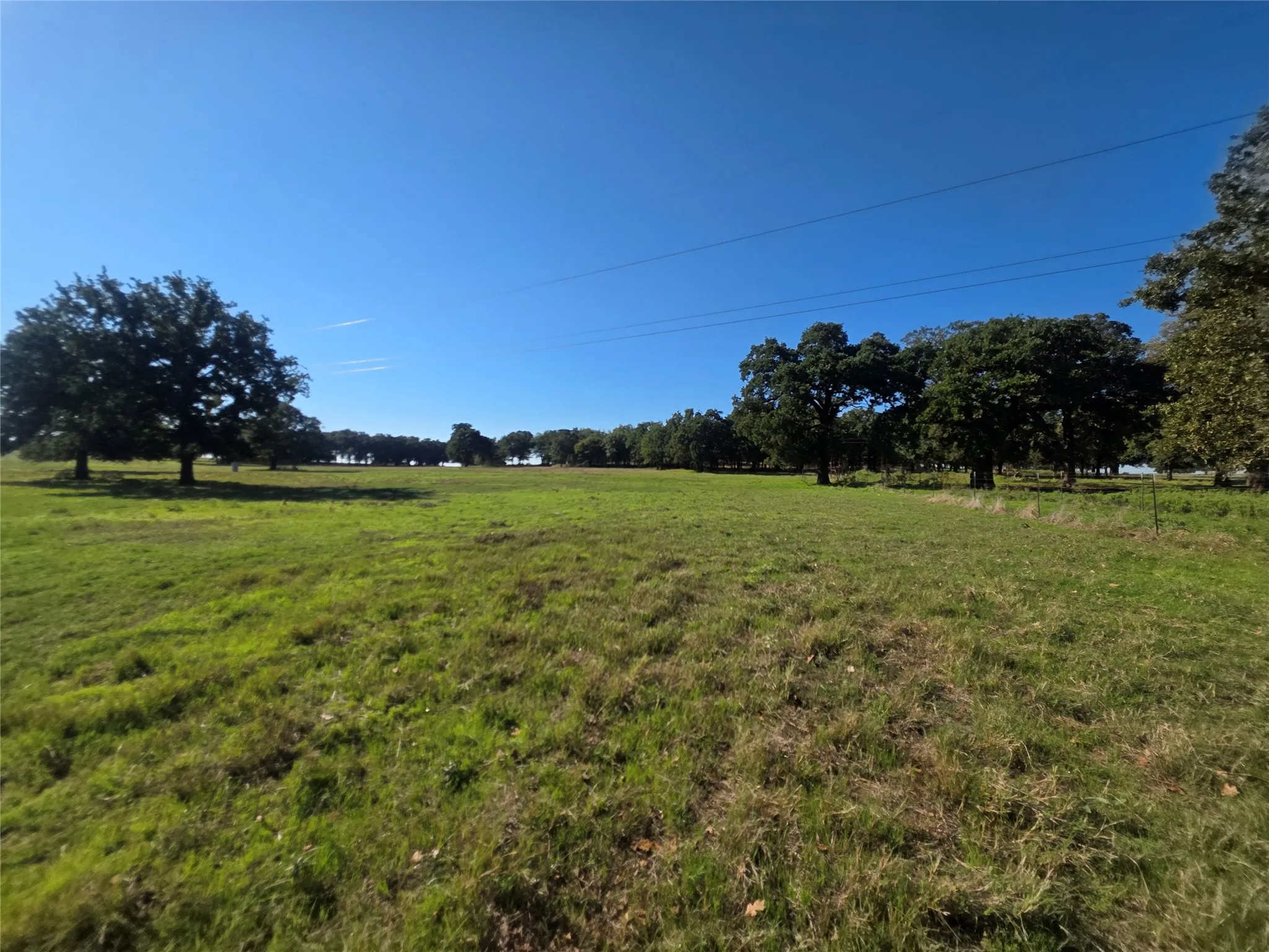 Improved Land For Sale in Montague County , 2519 Upper Montague Road, Bowie, Texas 76230, 0, 0, Garage spaces, 0 Sqft, built in 0, mls#21398988, Real Estate Agent in Bowie, Homes For Sale in Montague county, Homes For Sale in Bowie, Realtor in Bowie Texas, Real Estate Brokerage Independent Realty Texas, Luminita Cordes Realtor