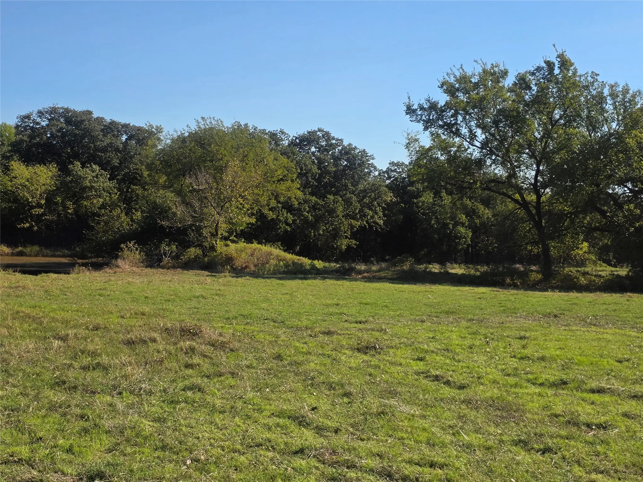 Improved Land For Sale in Montague County , 2519 Upper Montague Road, Bowie, Texas 76230, 0, 0, Garage spaces, 0 Sqft, built in 0, mls#21398988, Real Estate Agent in Bowie, Homes For Sale in Montague county, Homes For Sale in Bowie, Realtor in Bowie Texas, Real Estate Brokerage Independent Realty Texas, Luminita Cordes Realtor