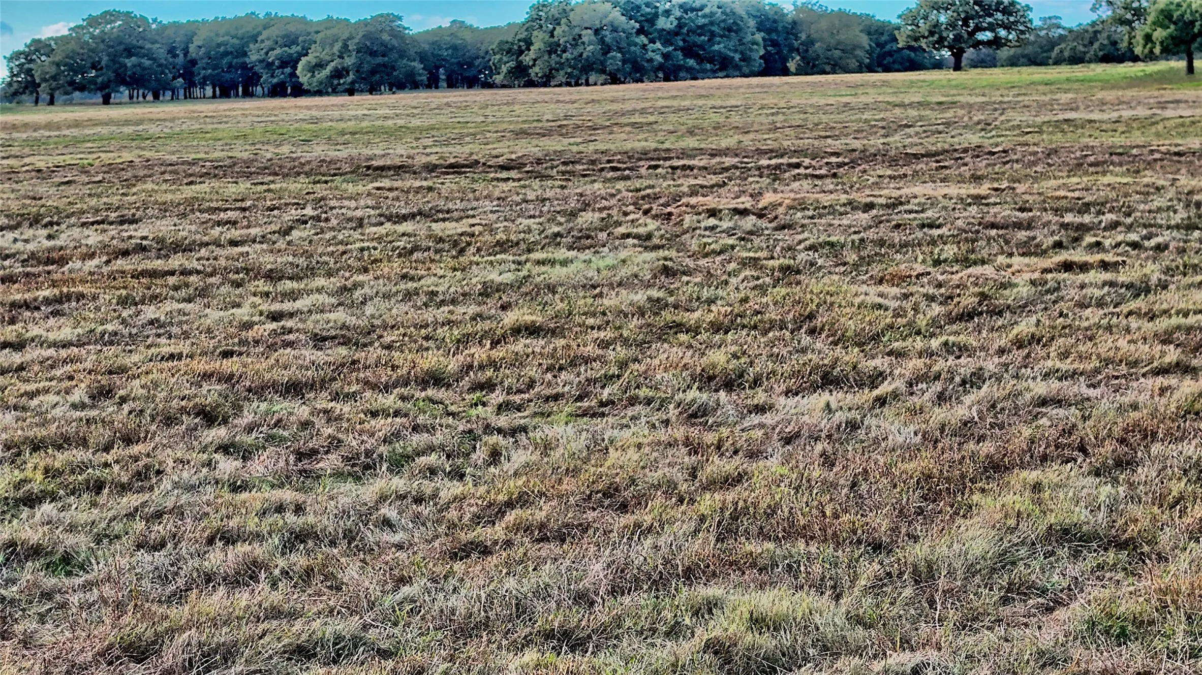 Improved Land For Sale in Montague County , 2519 Upper Montague Road, Bowie, Texas 76230, 0, 0, Garage spaces, 0 Sqft, built in 0, mls#21398988, Real Estate Agent in Bowie, Homes For Sale in Montague county, Homes For Sale in Bowie, Realtor in Bowie Texas, Real Estate Brokerage Independent Realty Texas, Luminita Cordes Realtor