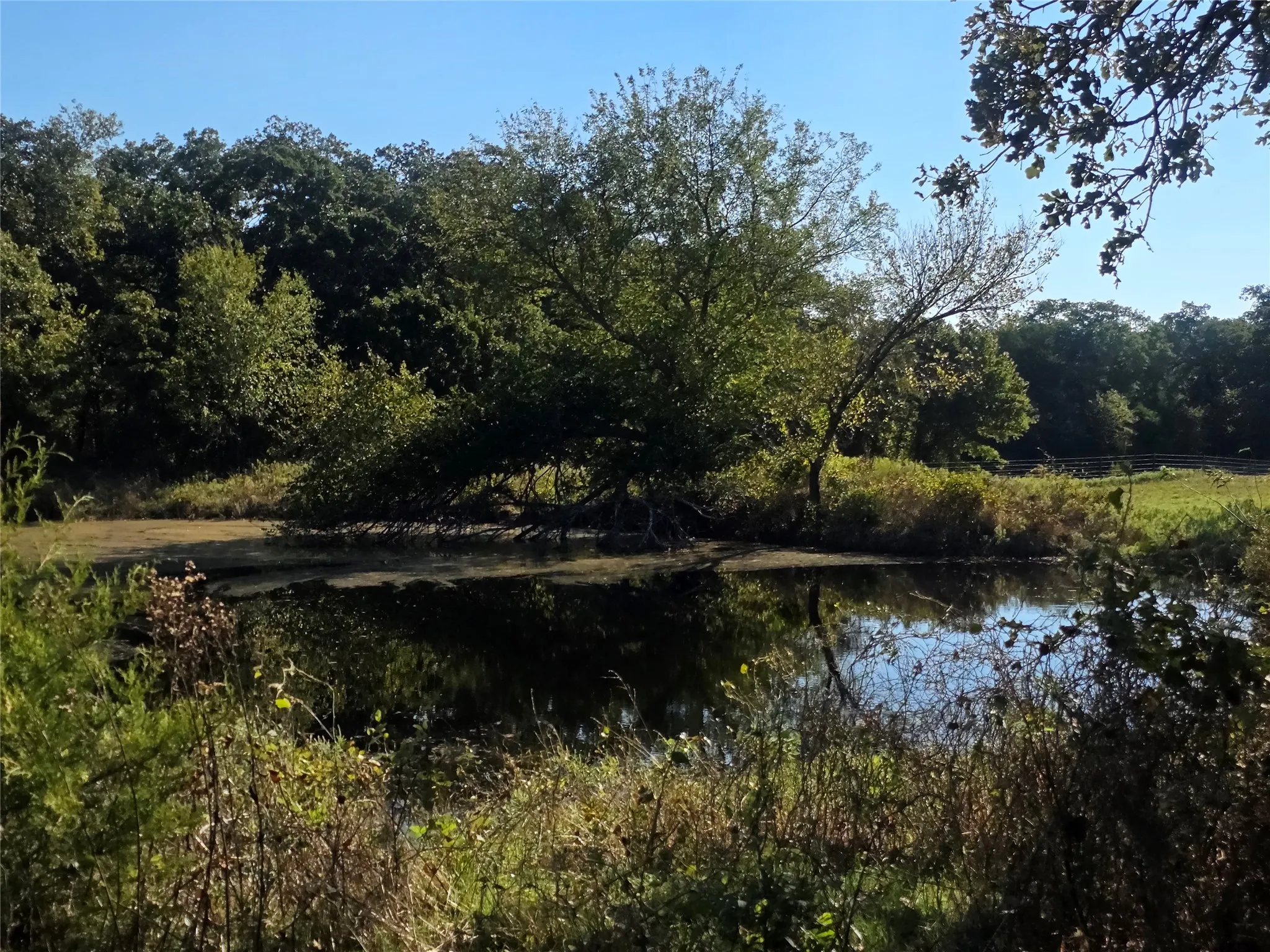 Improved Land For Sale in Montague County , 2519 Upper Montague Road, Bowie, Texas 76230, 0, 0, Garage spaces, 0 Sqft, built in 0, mls#21398988, Real Estate Agent in Bowie, Homes For Sale in Montague county, Homes For Sale in Bowie, Realtor in Bowie Texas, Real Estate Brokerage Independent Realty Texas, Luminita Cordes Realtor