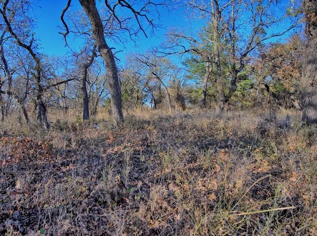 Unimproved Land For Sale in Montague County , 103 Diamond Oaks Drive, Nocona, Texas 76255, 0, 0, Garage spaces, 0 Sqft, built in 0, mls#21411291, Real Estate Agent in Nocona, Homes For Sale in Montague county, Homes For Sale in Nocona, Realtor in Nocona Texas, Real Estate Brokerage Independent Realty Texas, Luminita Cordes Realtor